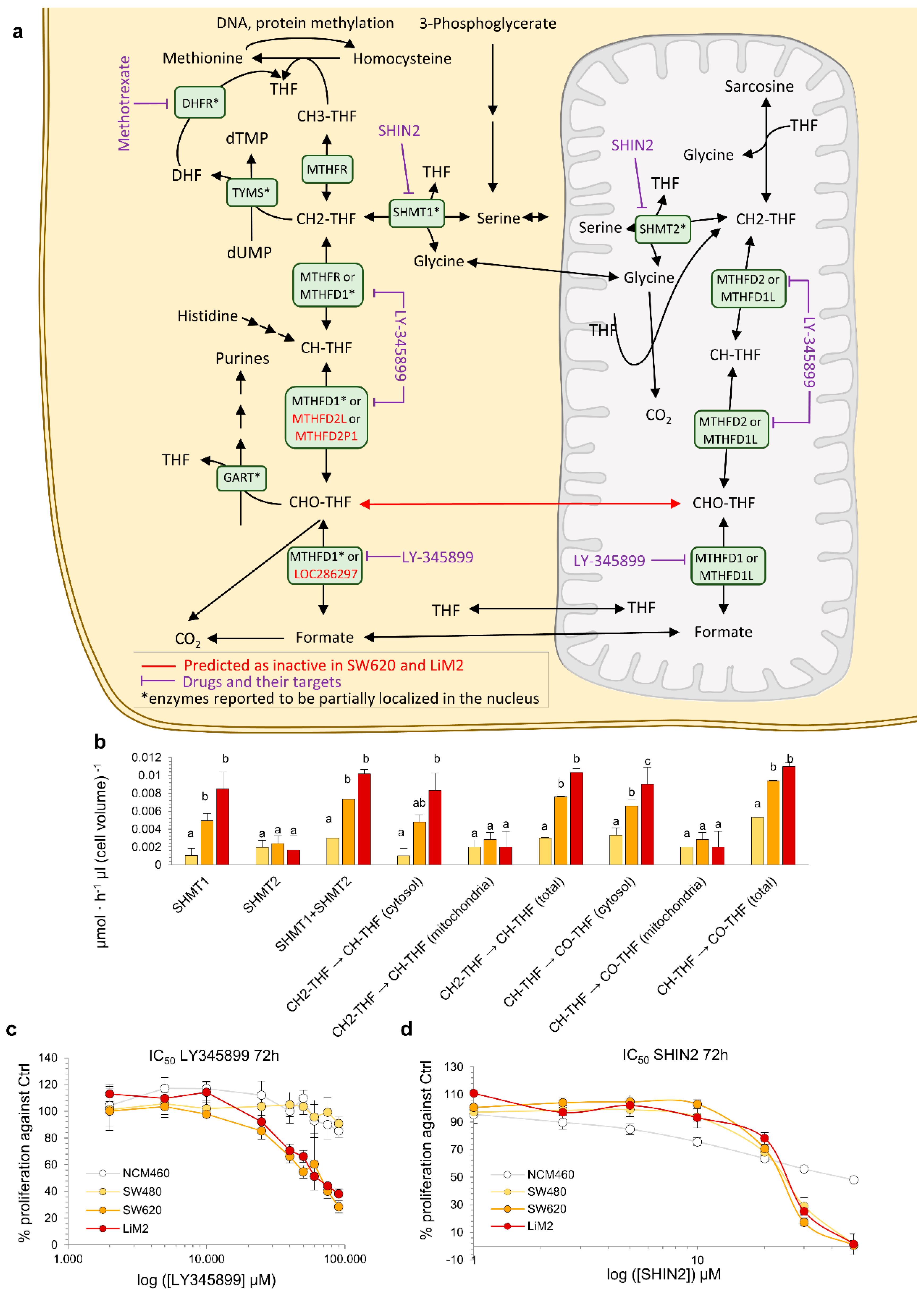 Cancers 13 00425 g006