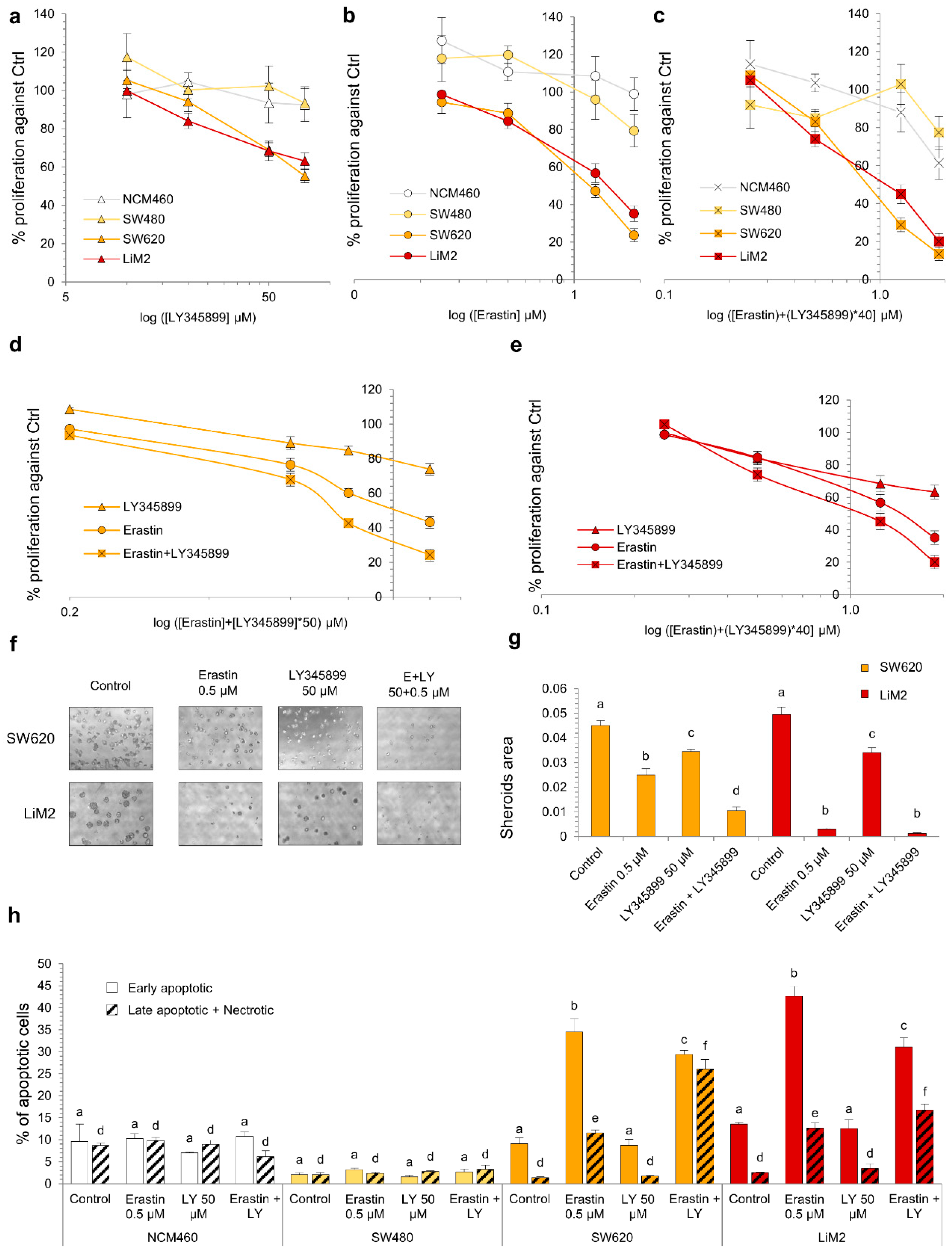 Cancers 13 00425 g007