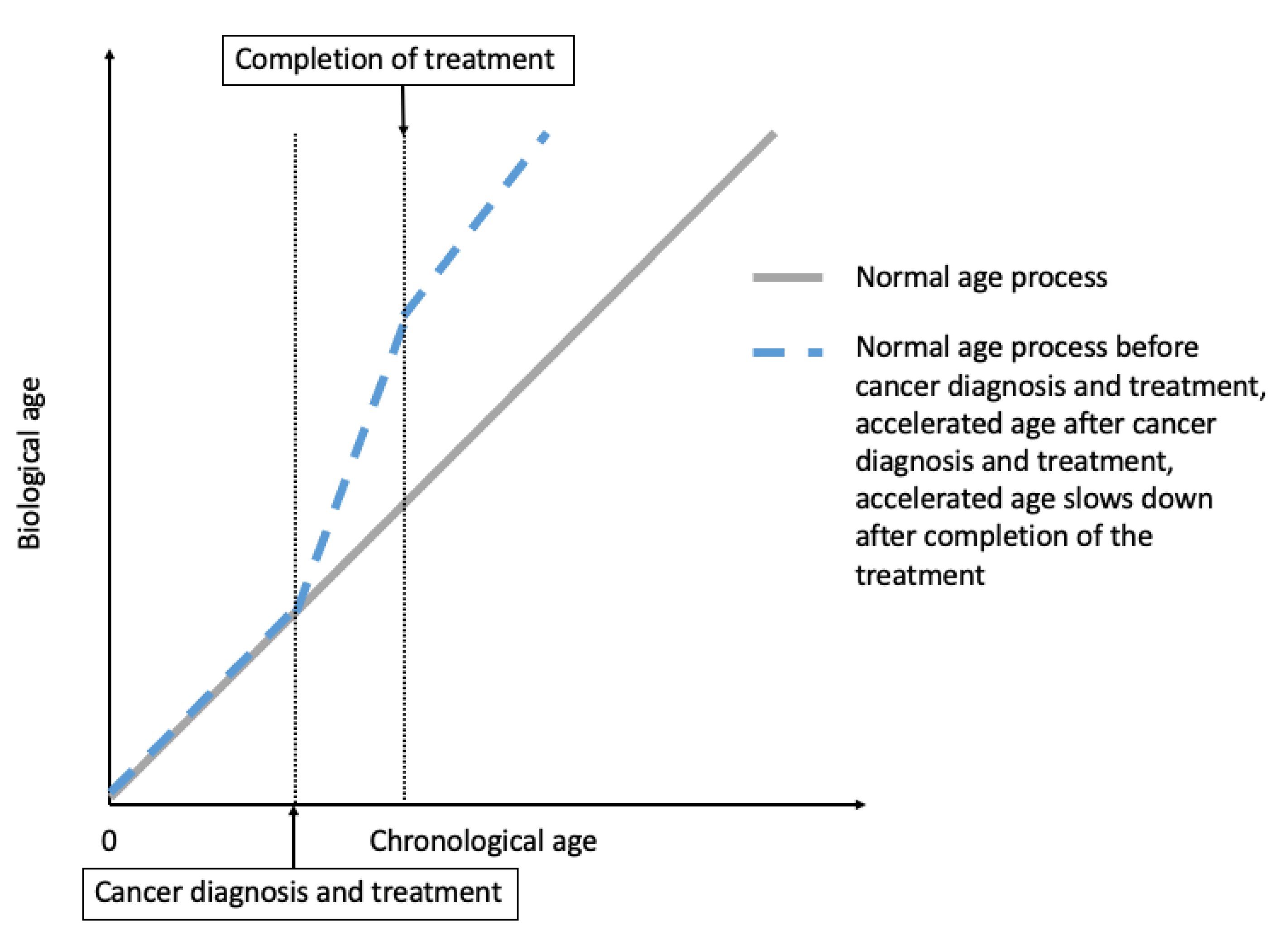 Cancers 13 00427 g001