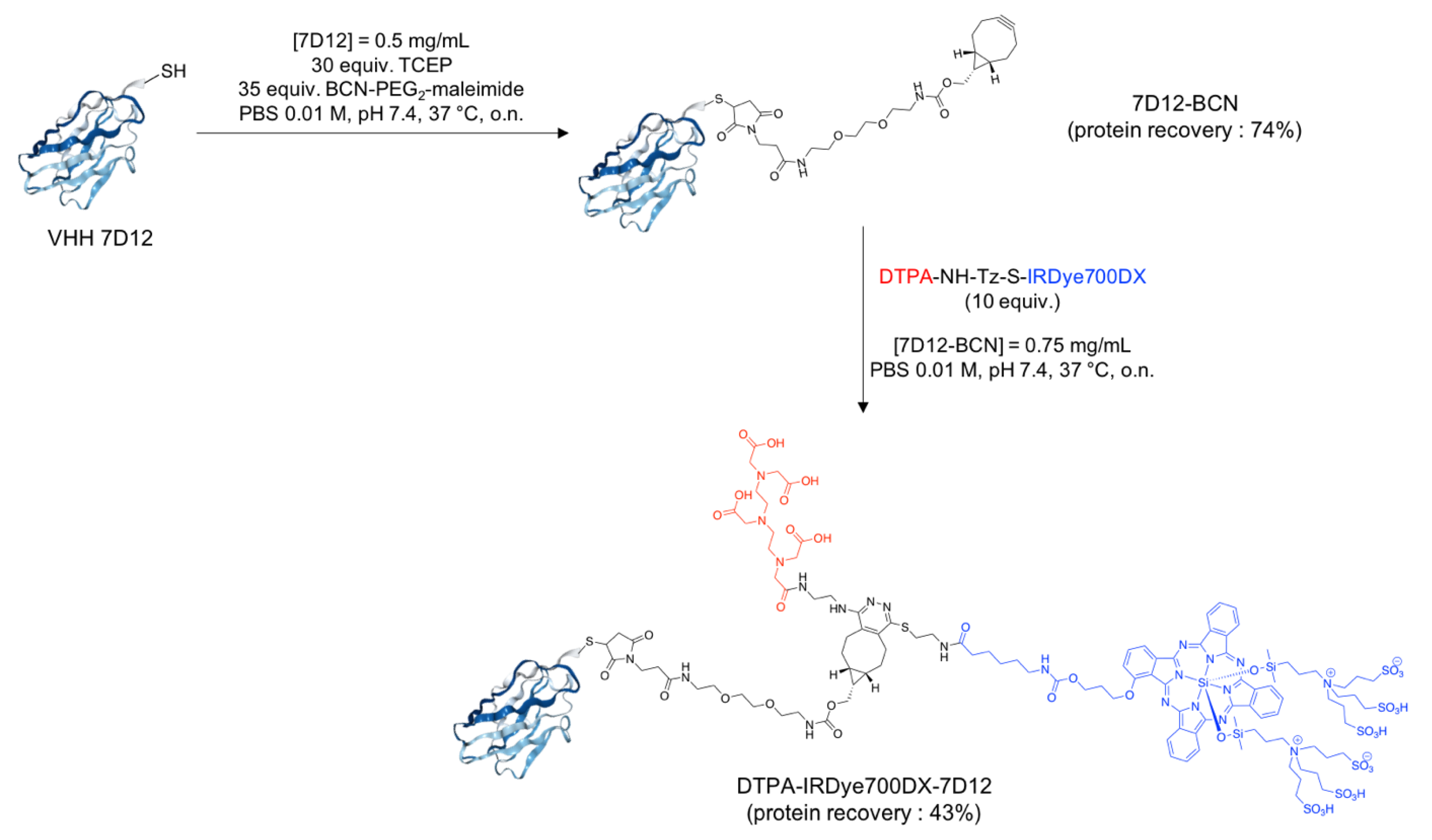 Cancers 13 00428 g001 Cancers 13 00428 g001