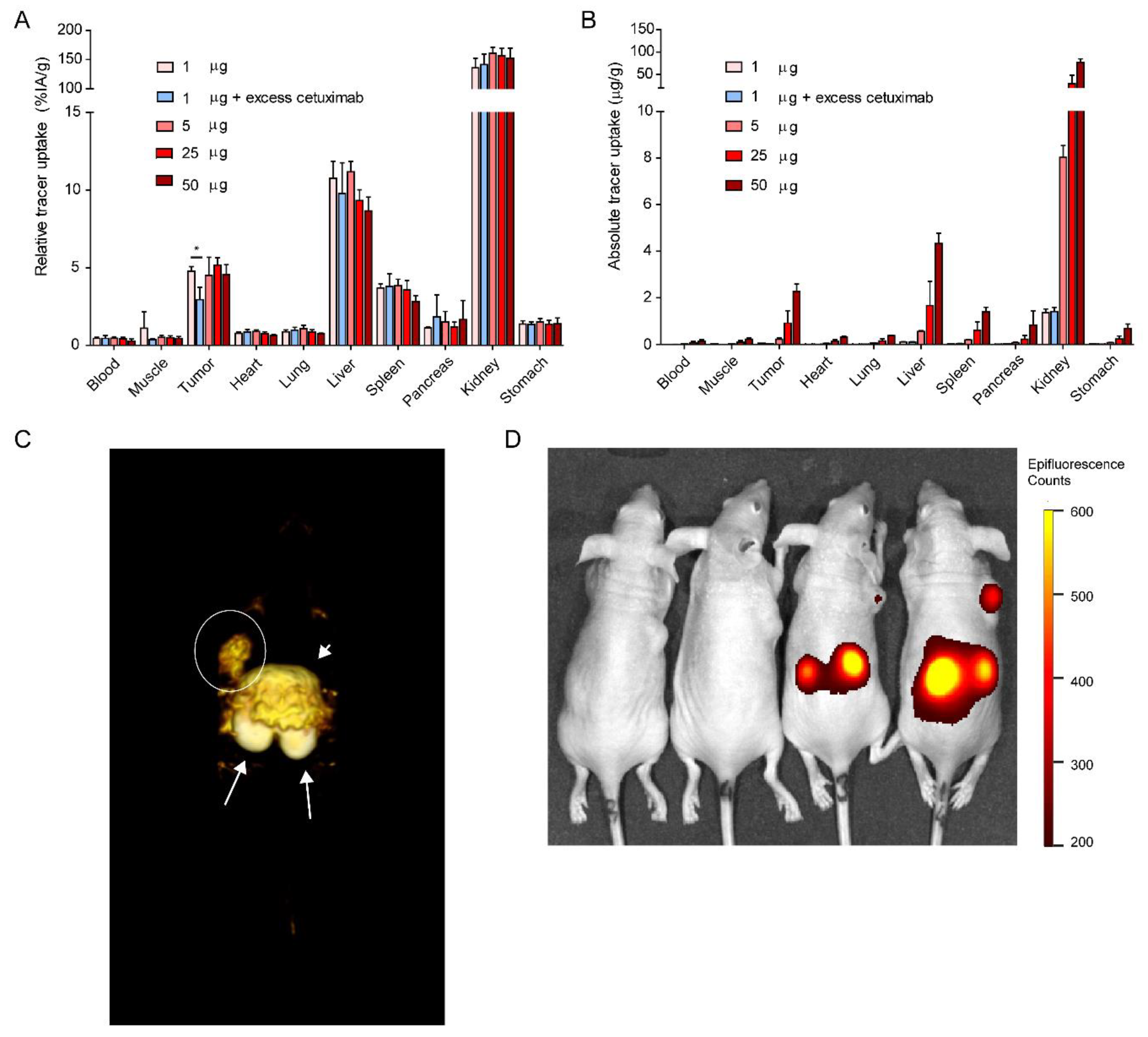 Cancers 13 00428 g006 Cancers 13 00428 g006