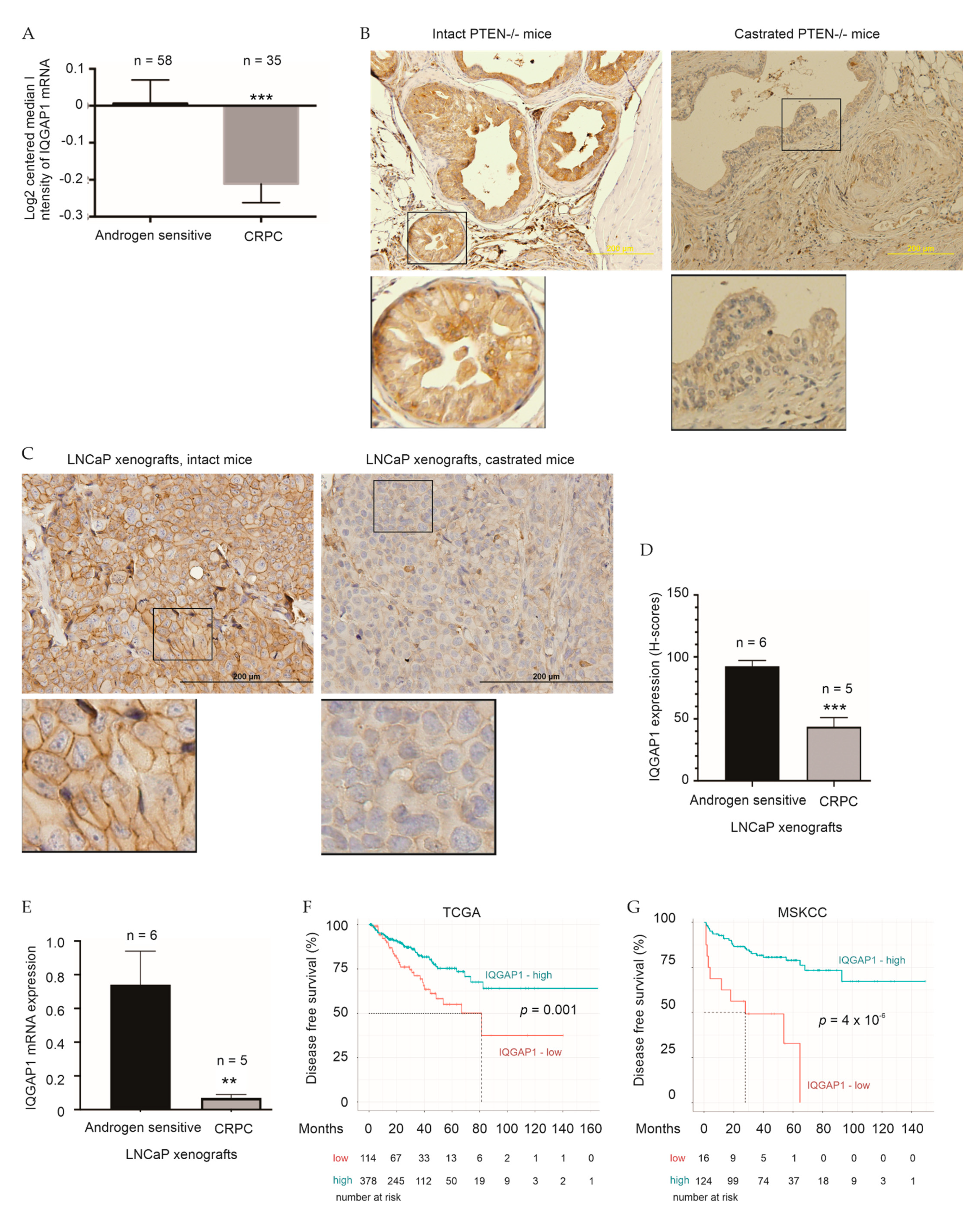 Cancers 13 00430 g004