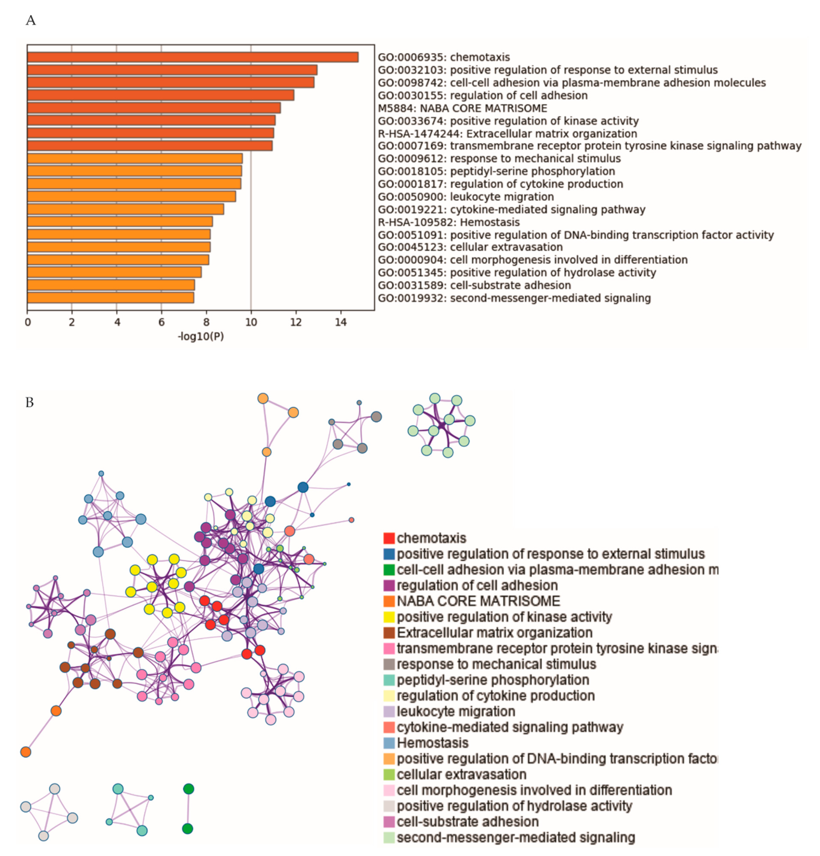 Cancers 13 00430 g005