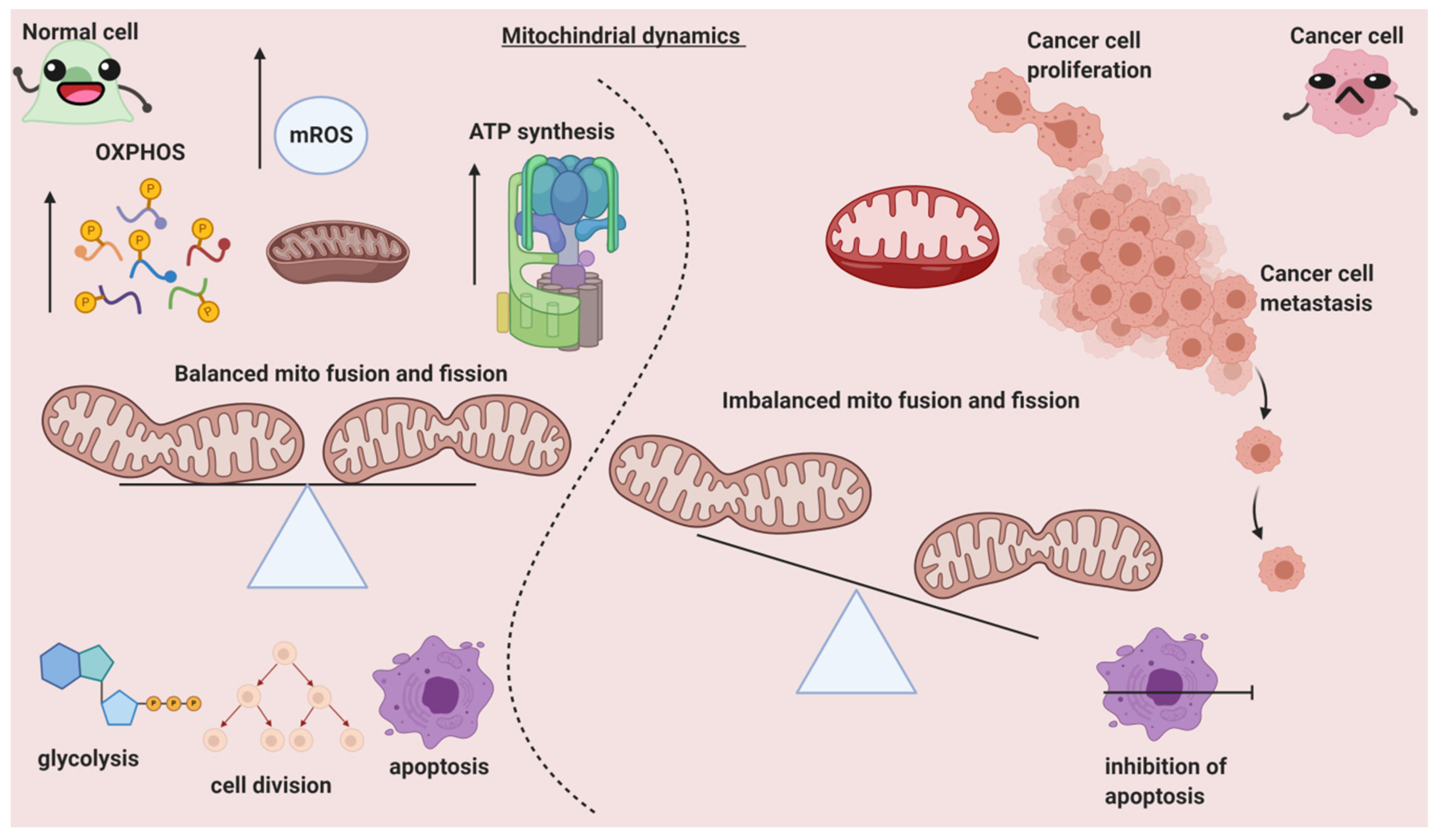 Cancers 13 00432 g002