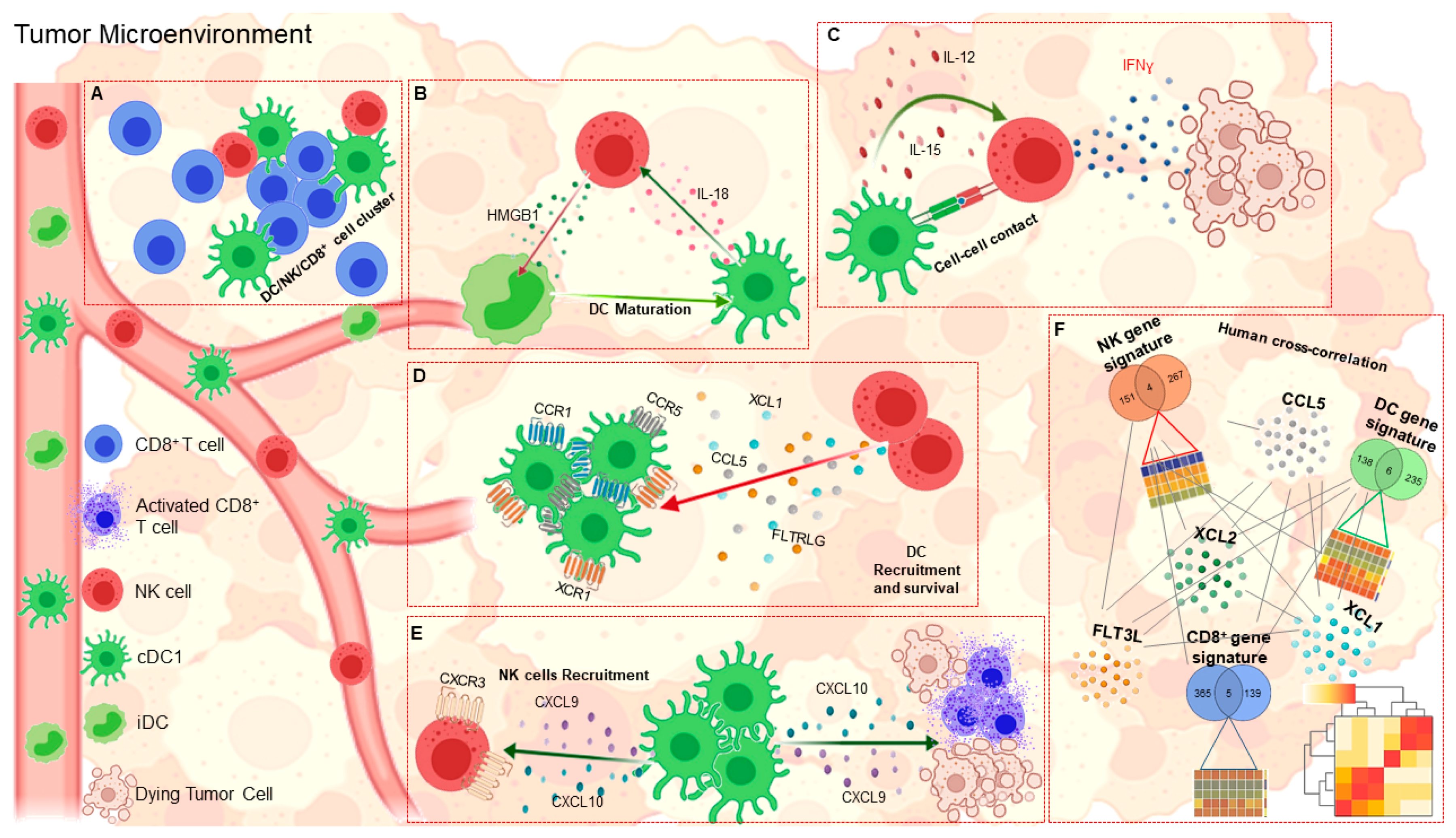 Cancers 13 00433 g002