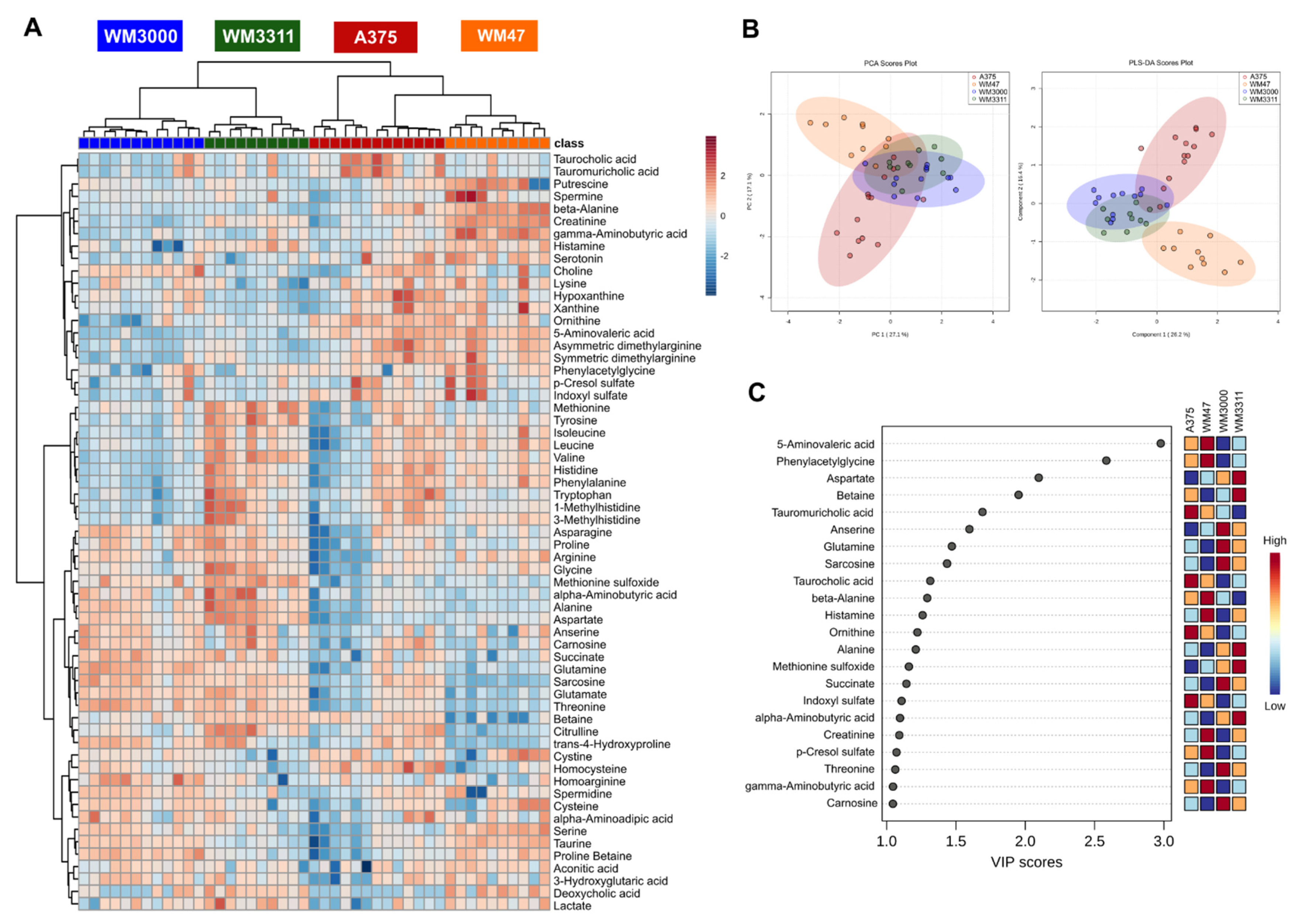 Cancers 13 00434 g001