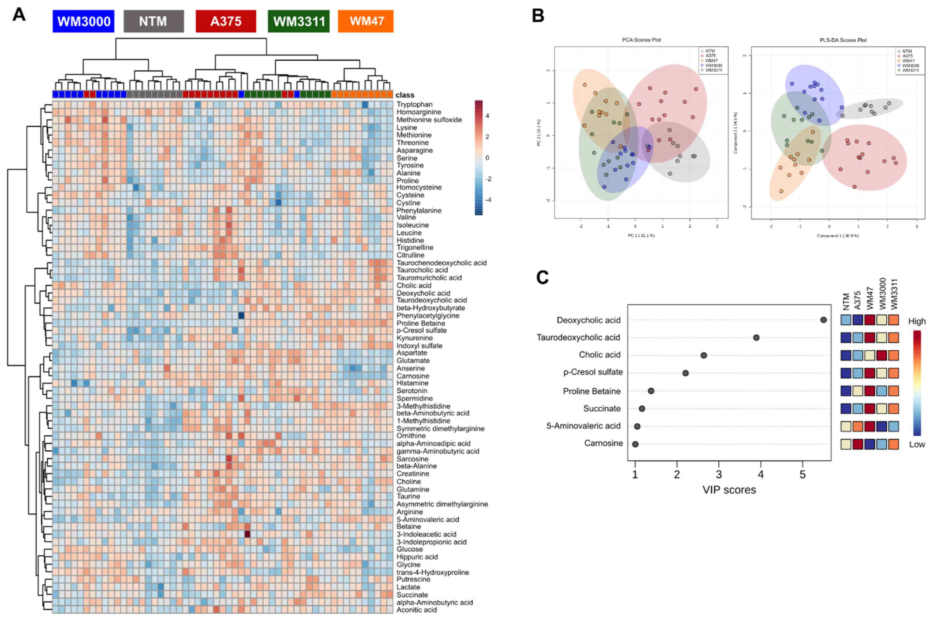 Cancers 13 00434 g005