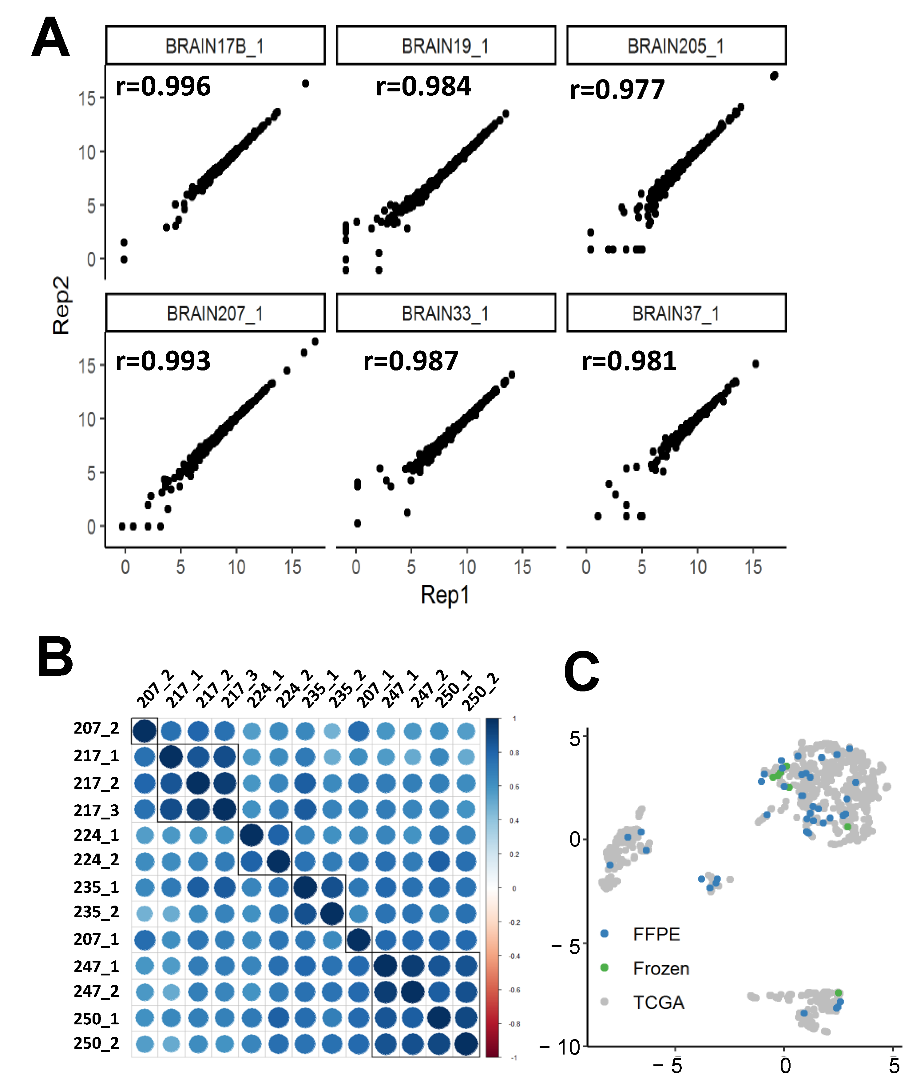 Cancers 13 00439 g002