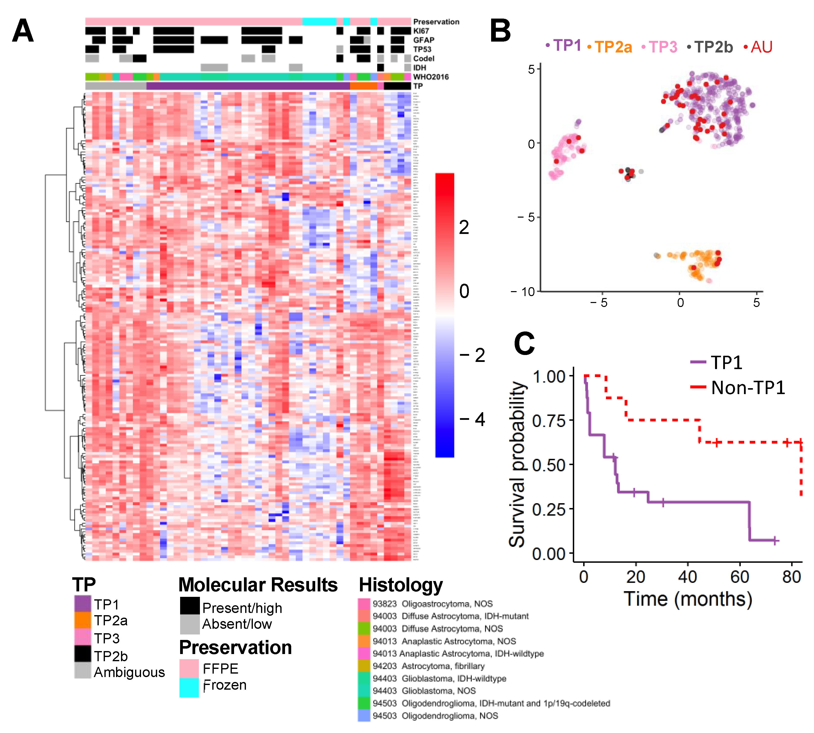 Cancers 13 00439 g003