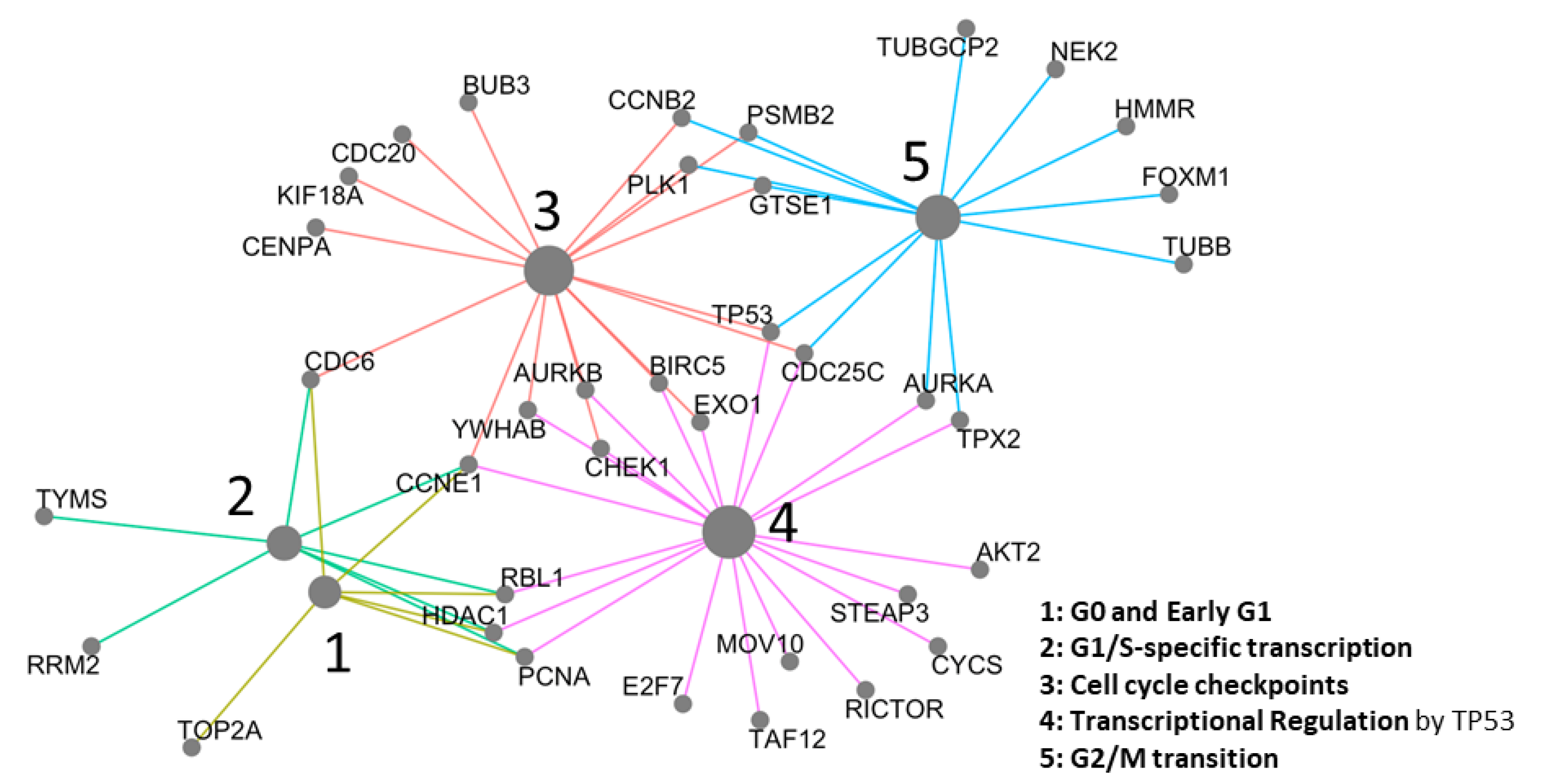 Cancers 13 00439 g004