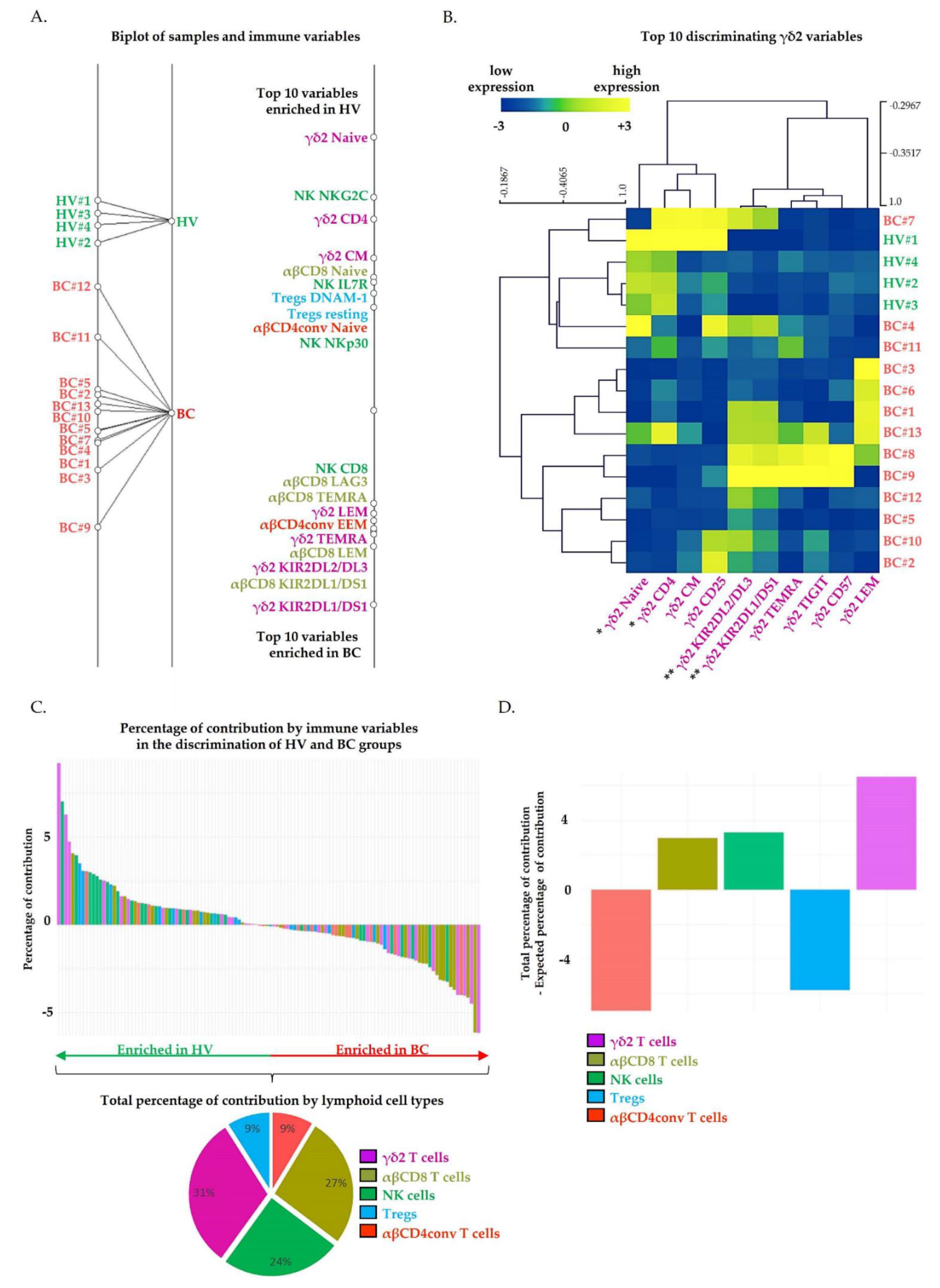 Cancers 13 00441 g001