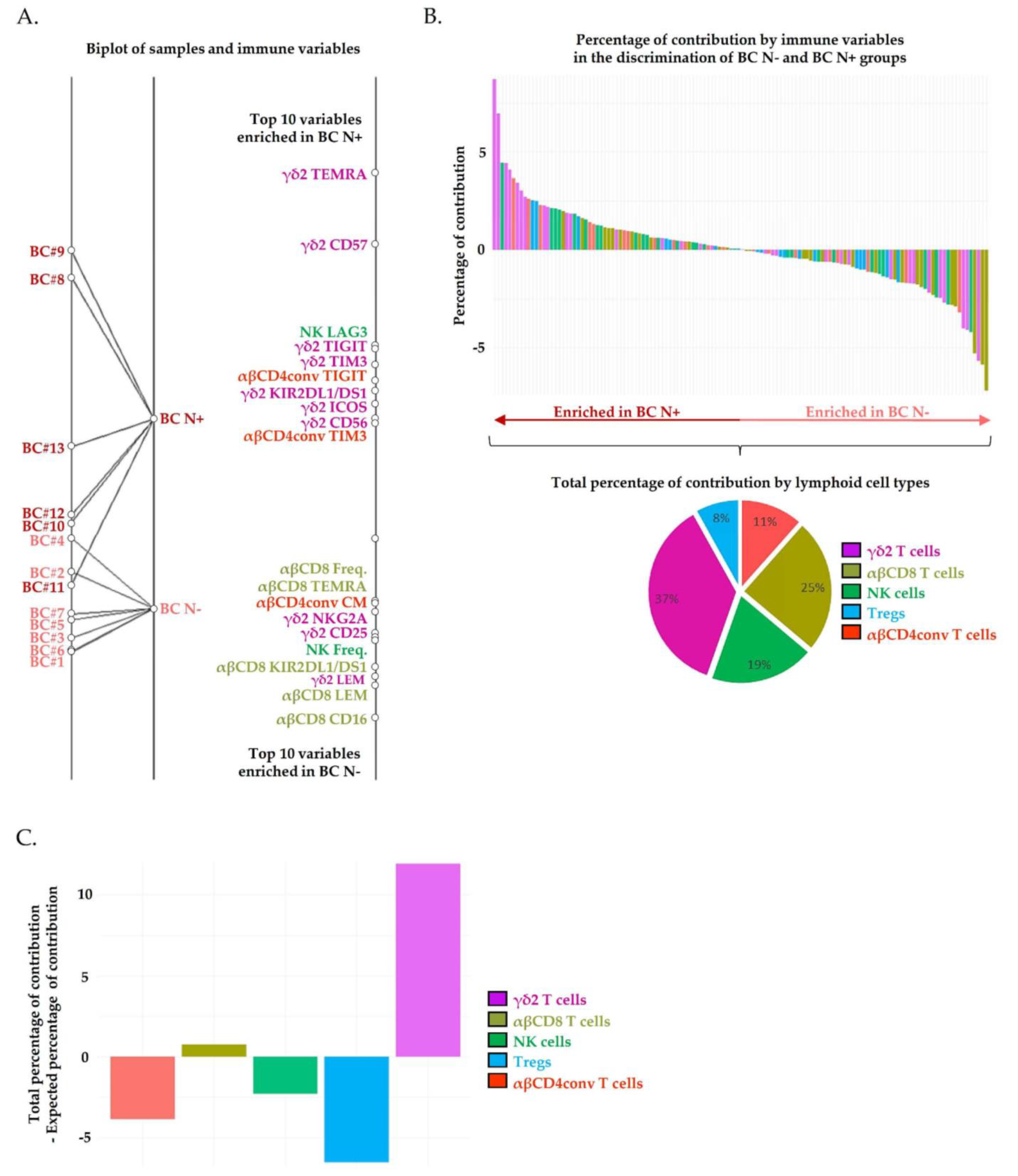 Cancers 13 00441 g002