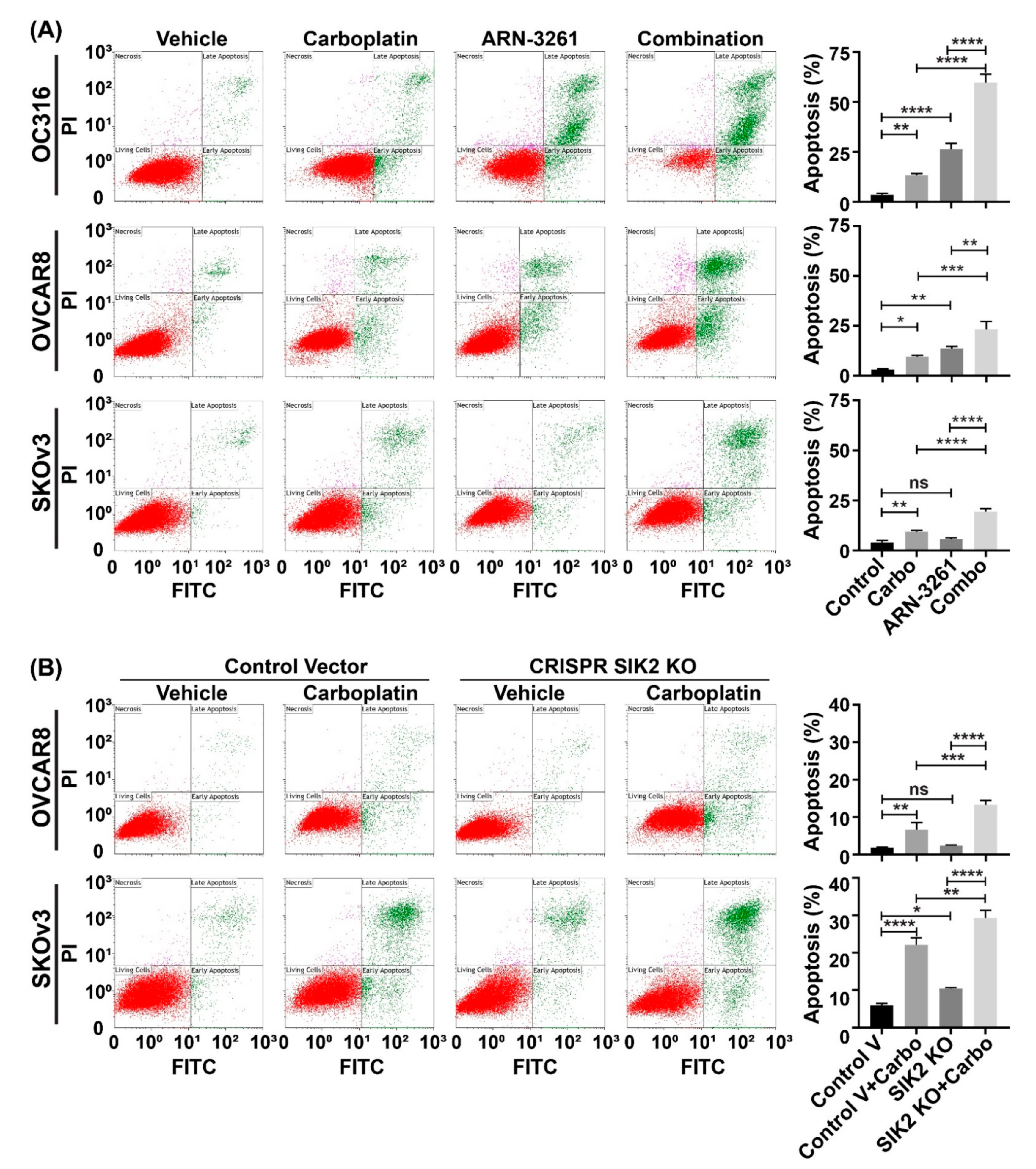 Cancers 13 00446 g002 Cancers 13 00446 g002