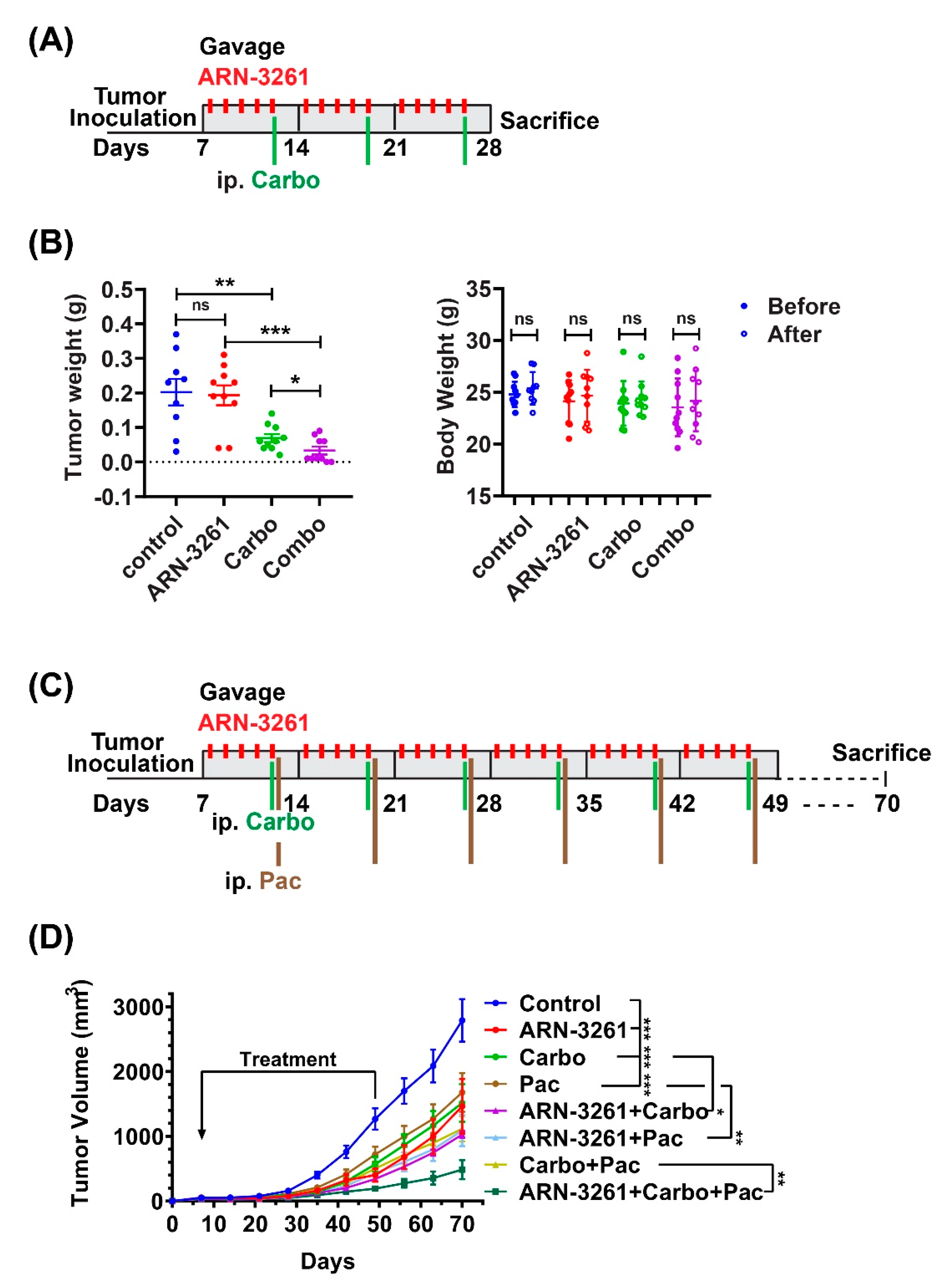 Cancers 13 00446 g006 Cancers 13 00446 g006