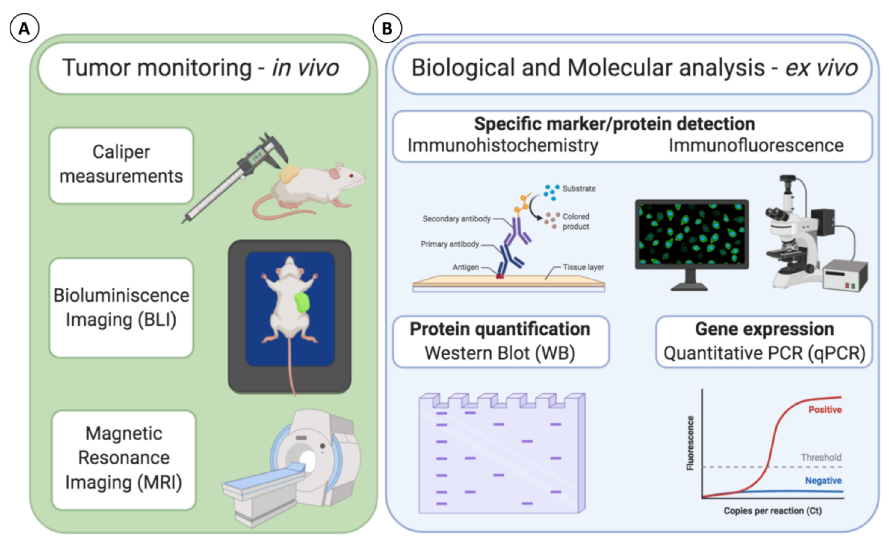 Cancers 13 00452 g003 Cancers 13 00452 g003