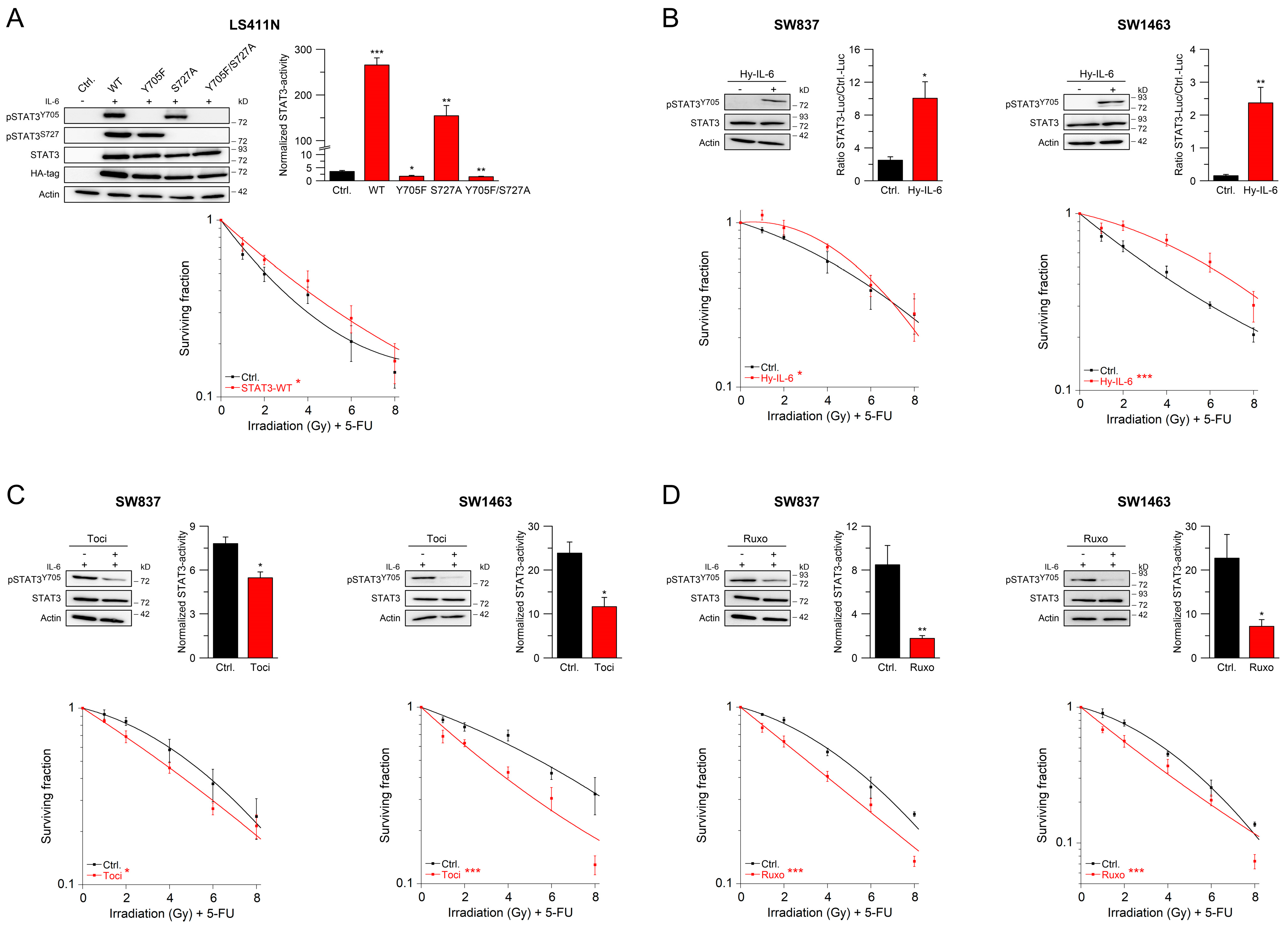 Cancers 13 00455 g001 Cancers 13 00455 g001