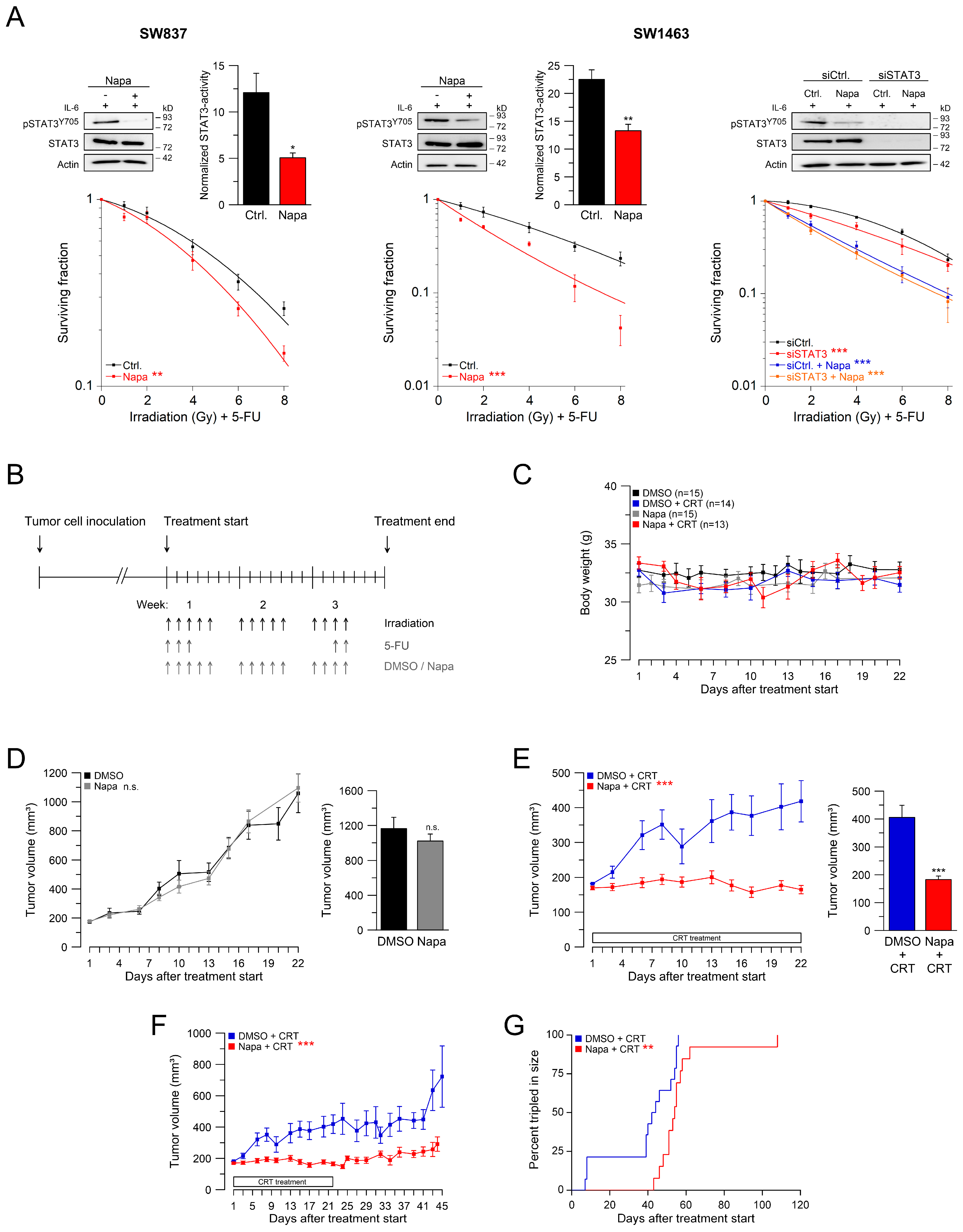 Cancers 13 00455 g002 Cancers 13 00455 g002