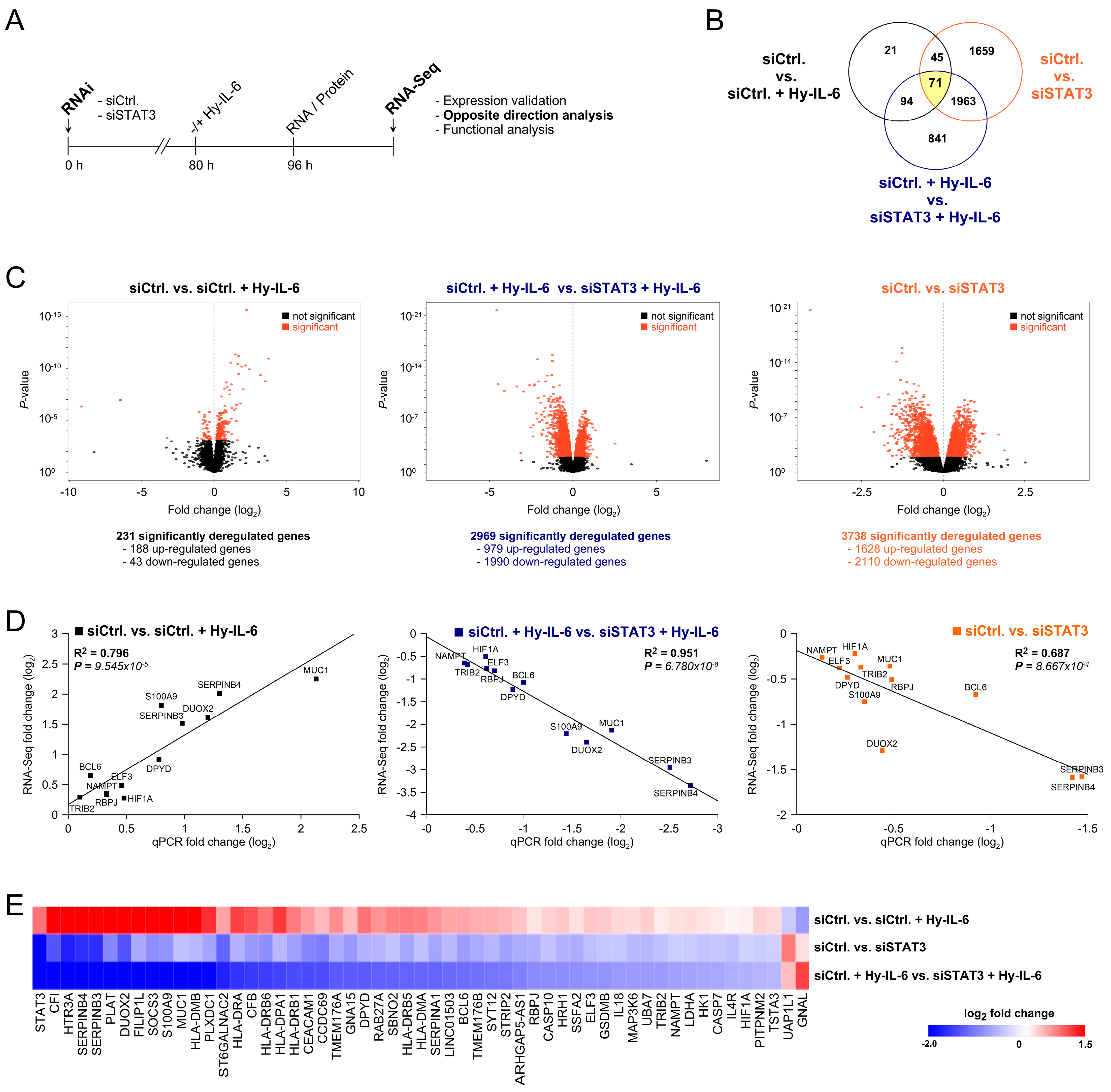 Cancers 13 00455 g004 Cancers 13 00455 g004