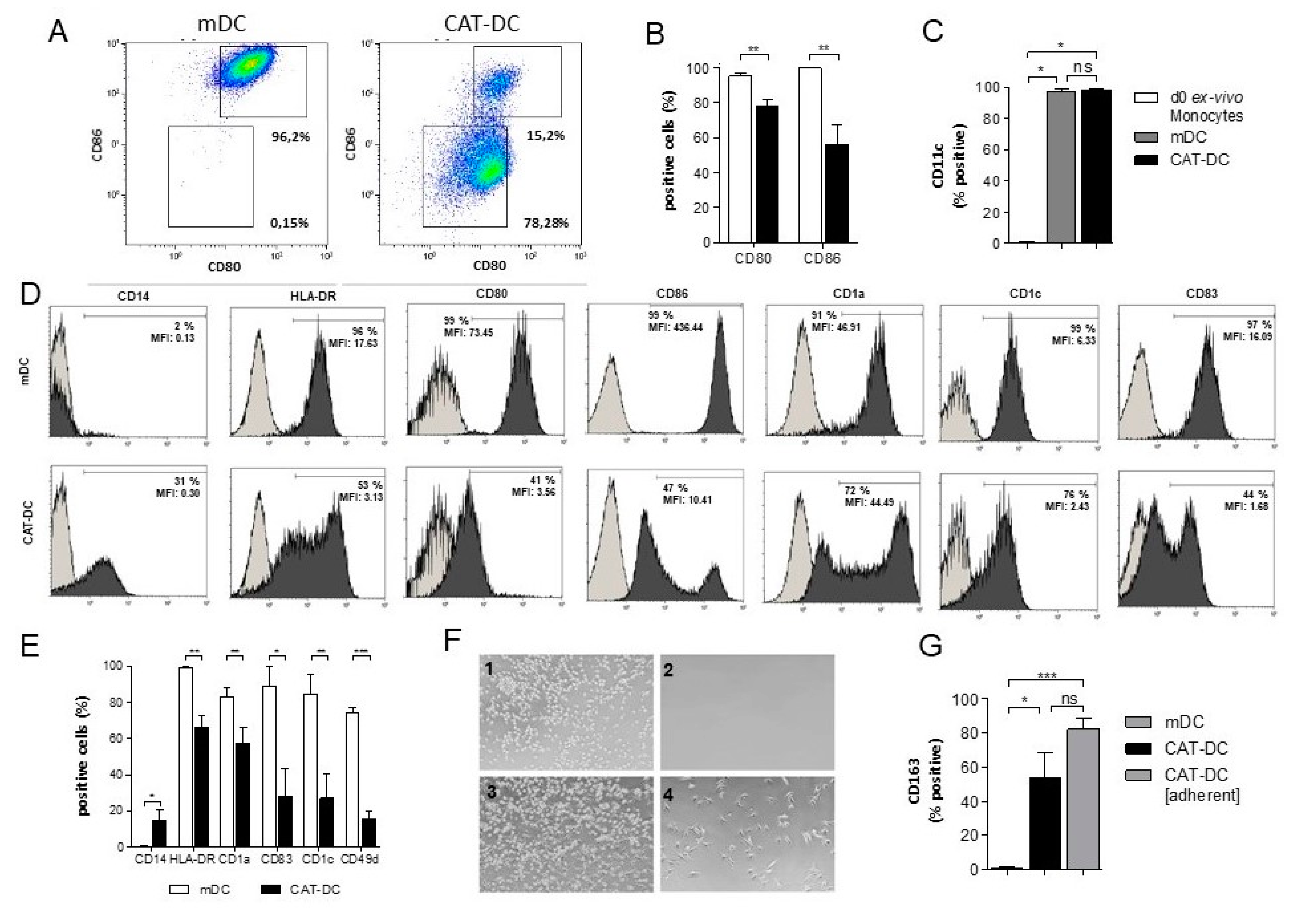 Cancers 13 00461 g001