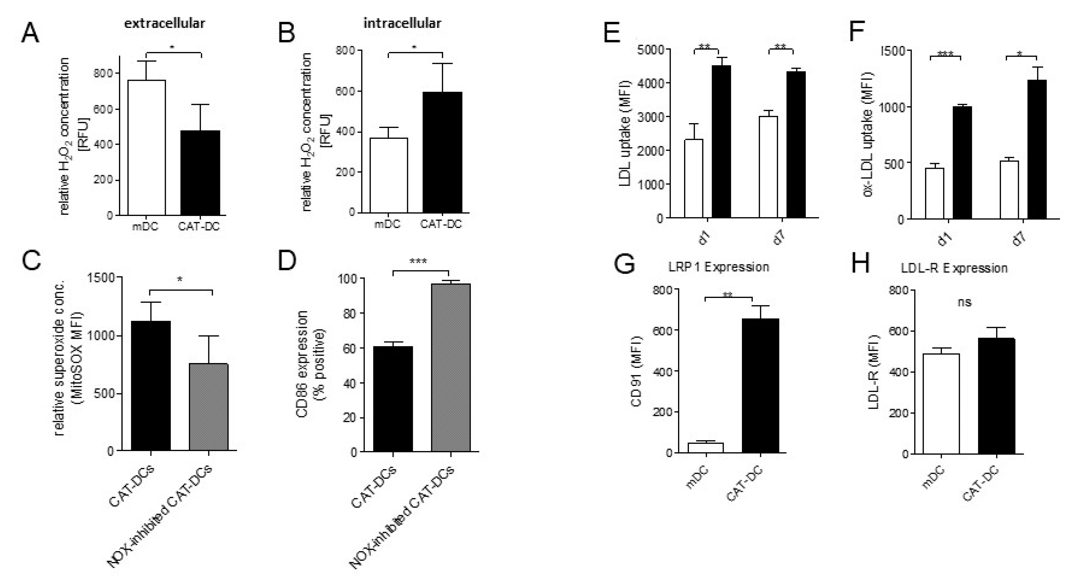 Cancers 13 00461 g005