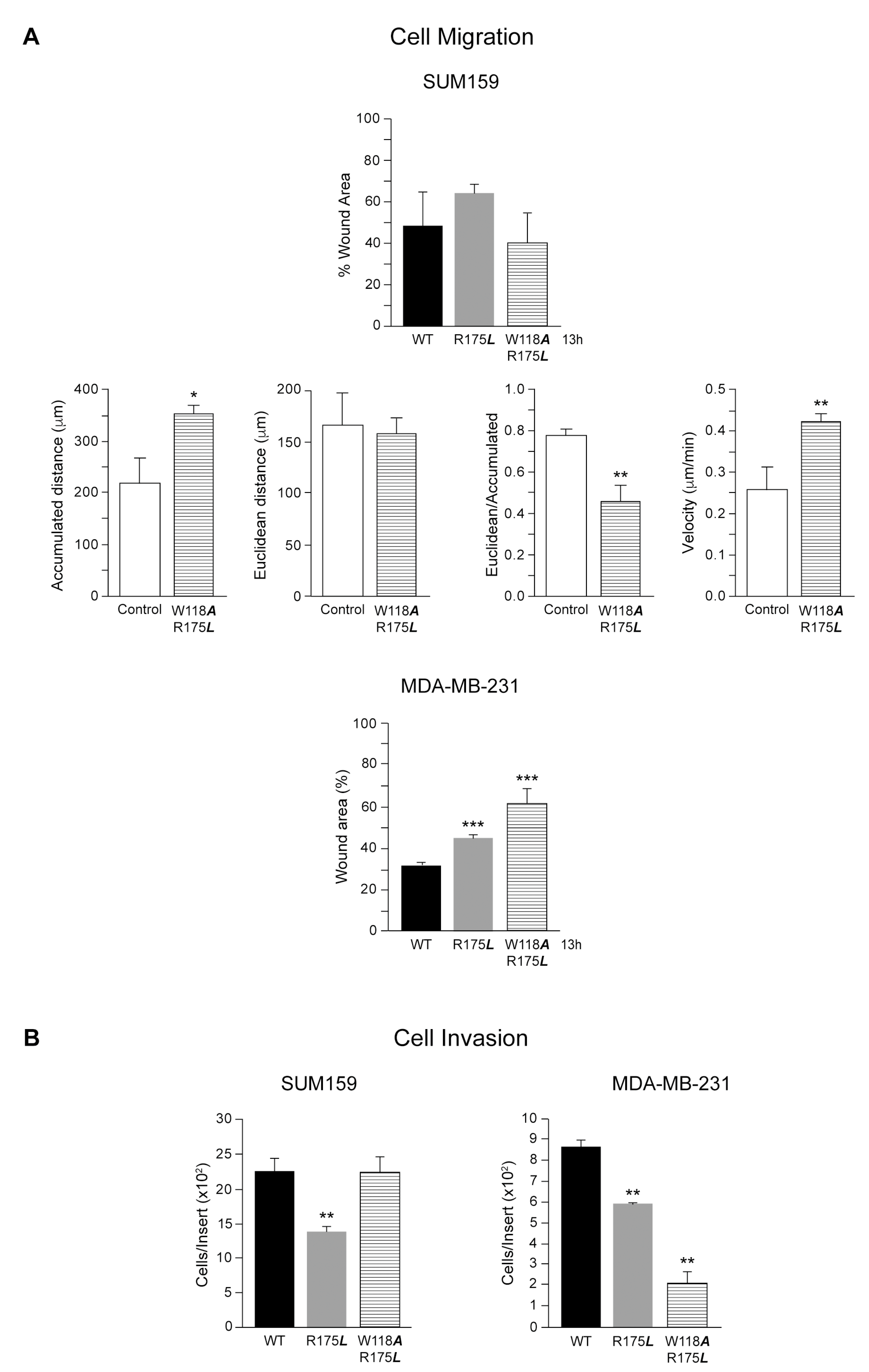 Cancers 13 00462 g004