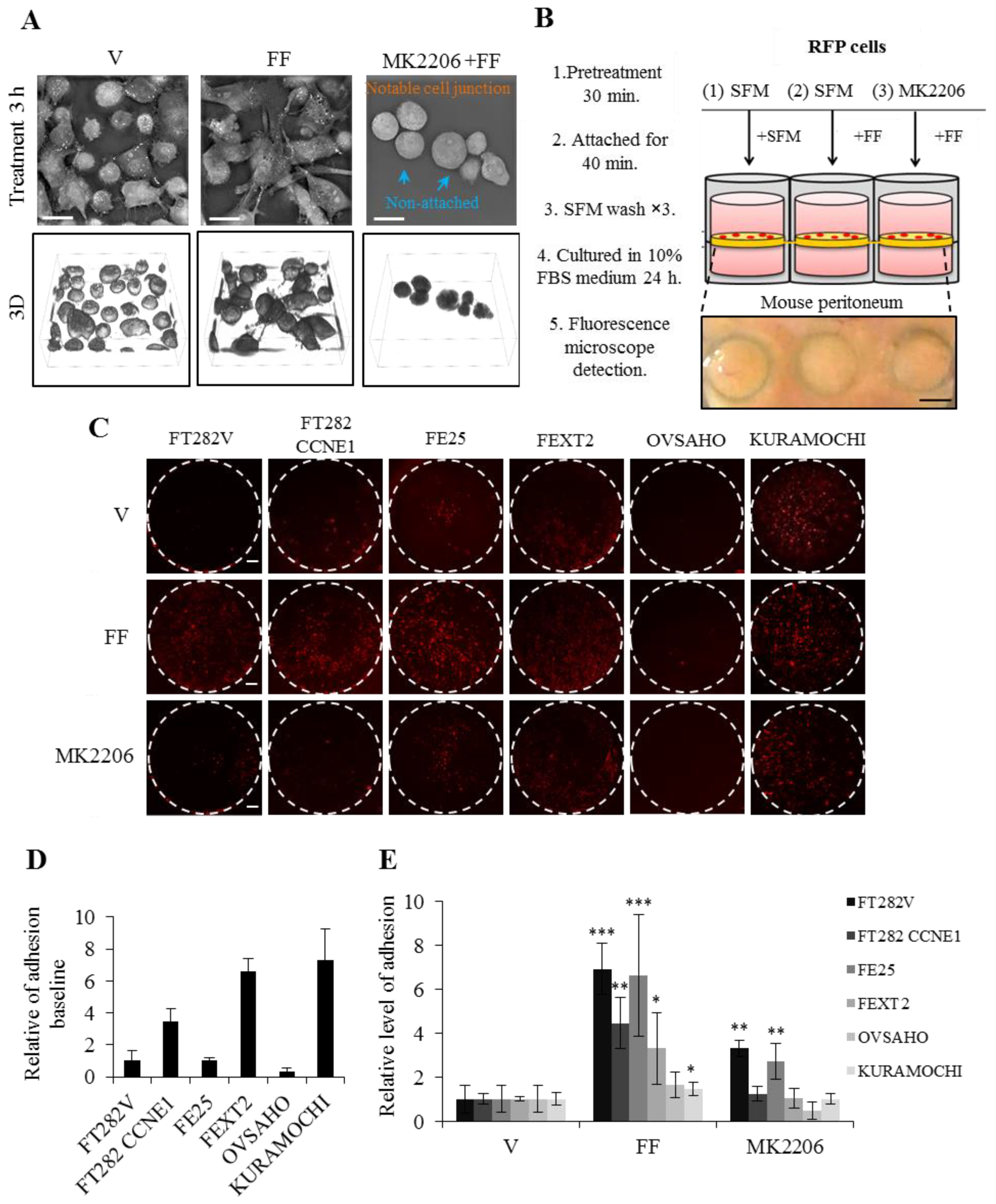 Cancers 13 00468 g005 Cancers 13 00468 g005