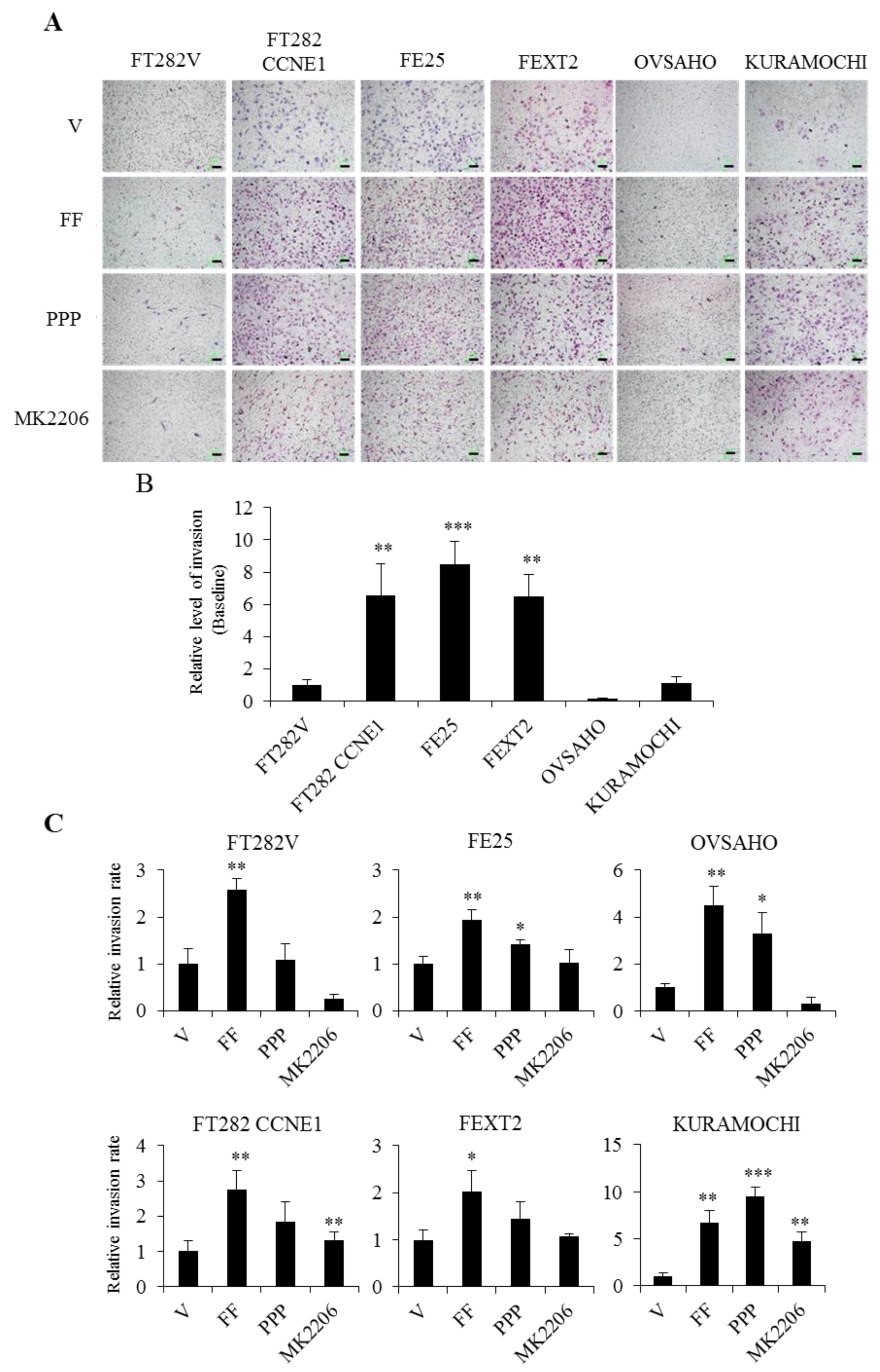 Cancers 13 00468 g007 Cancers 13 00468 g007