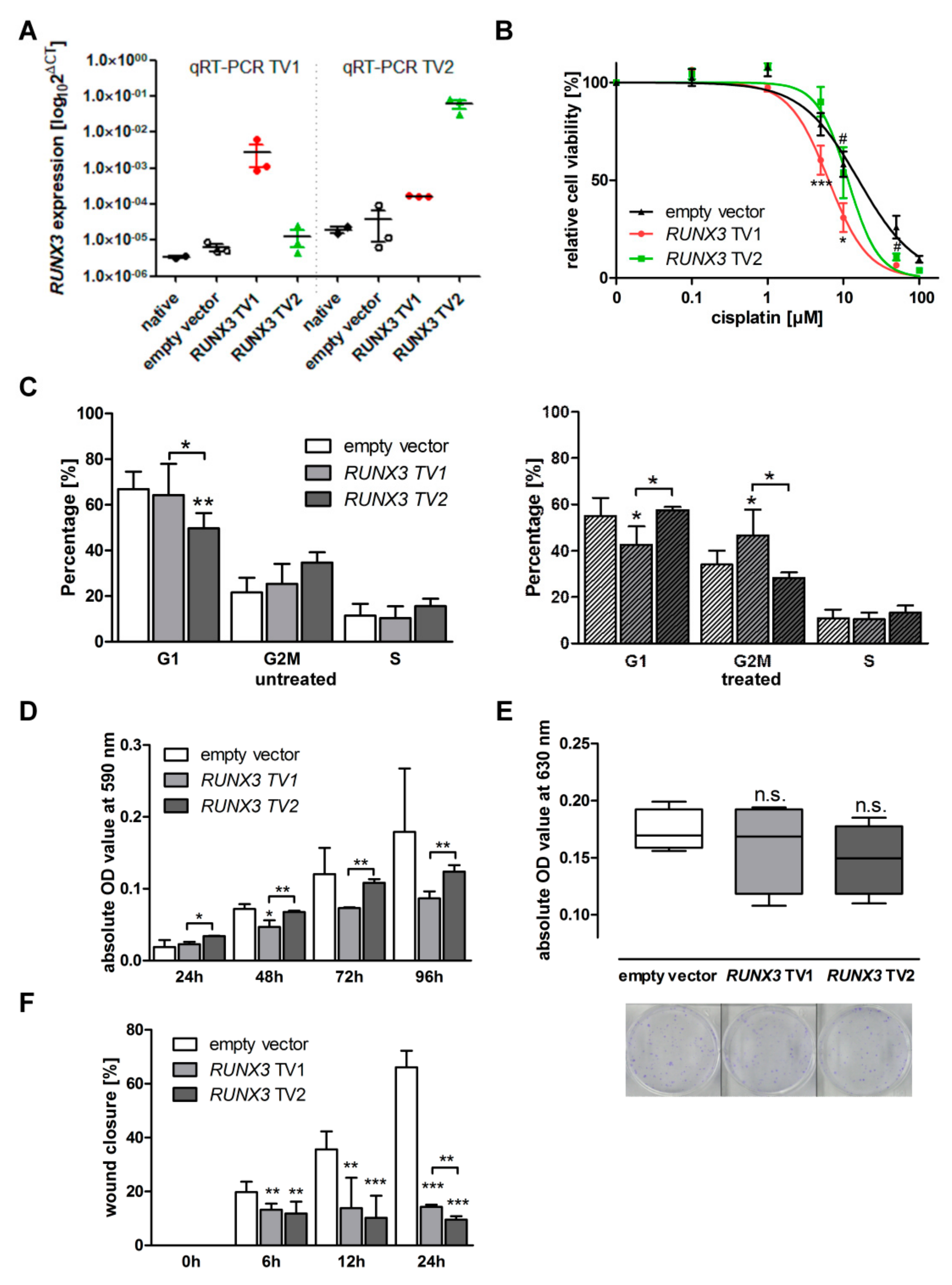 Cancers 13 00476 g001