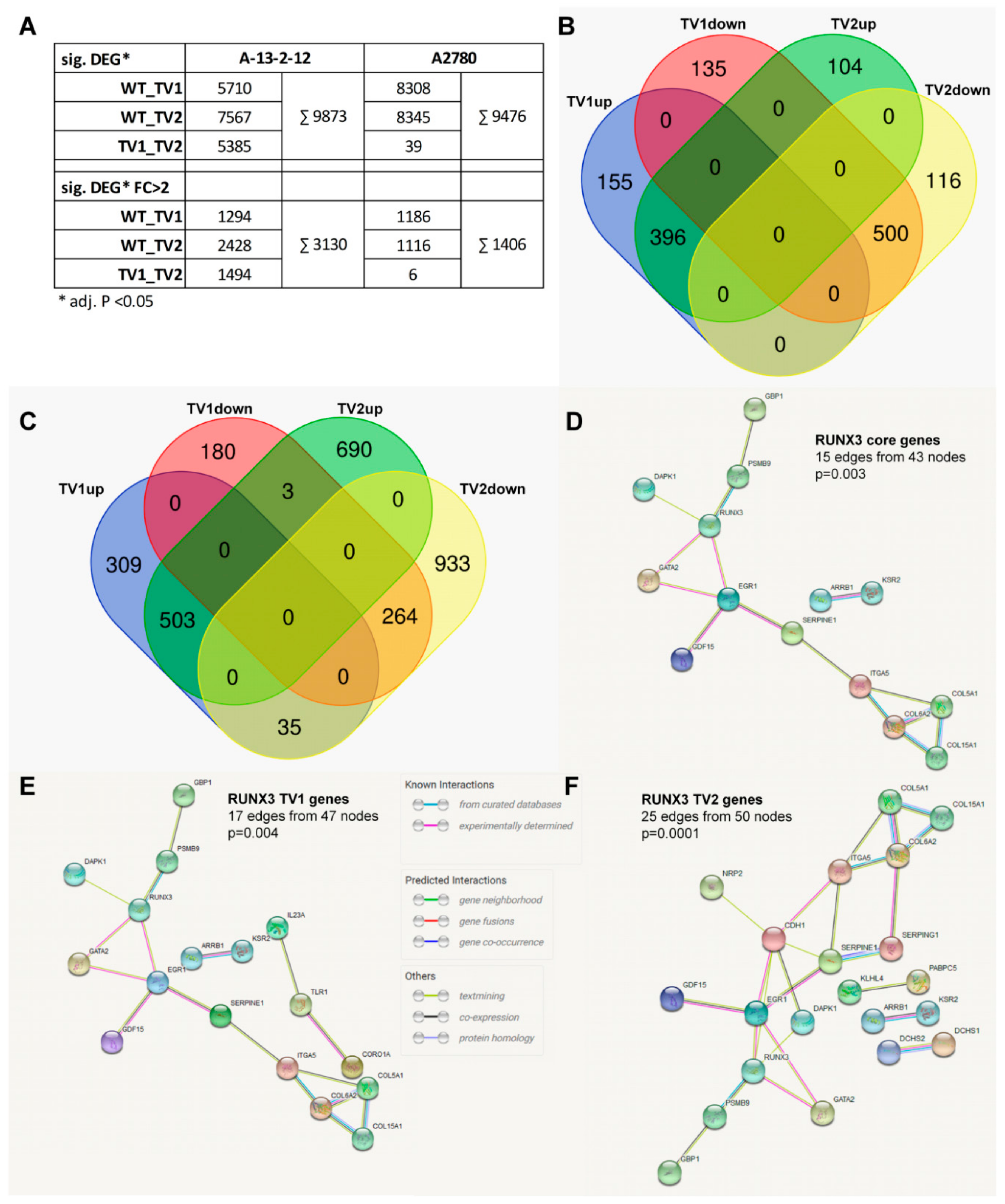 Cancers 13 00476 g004