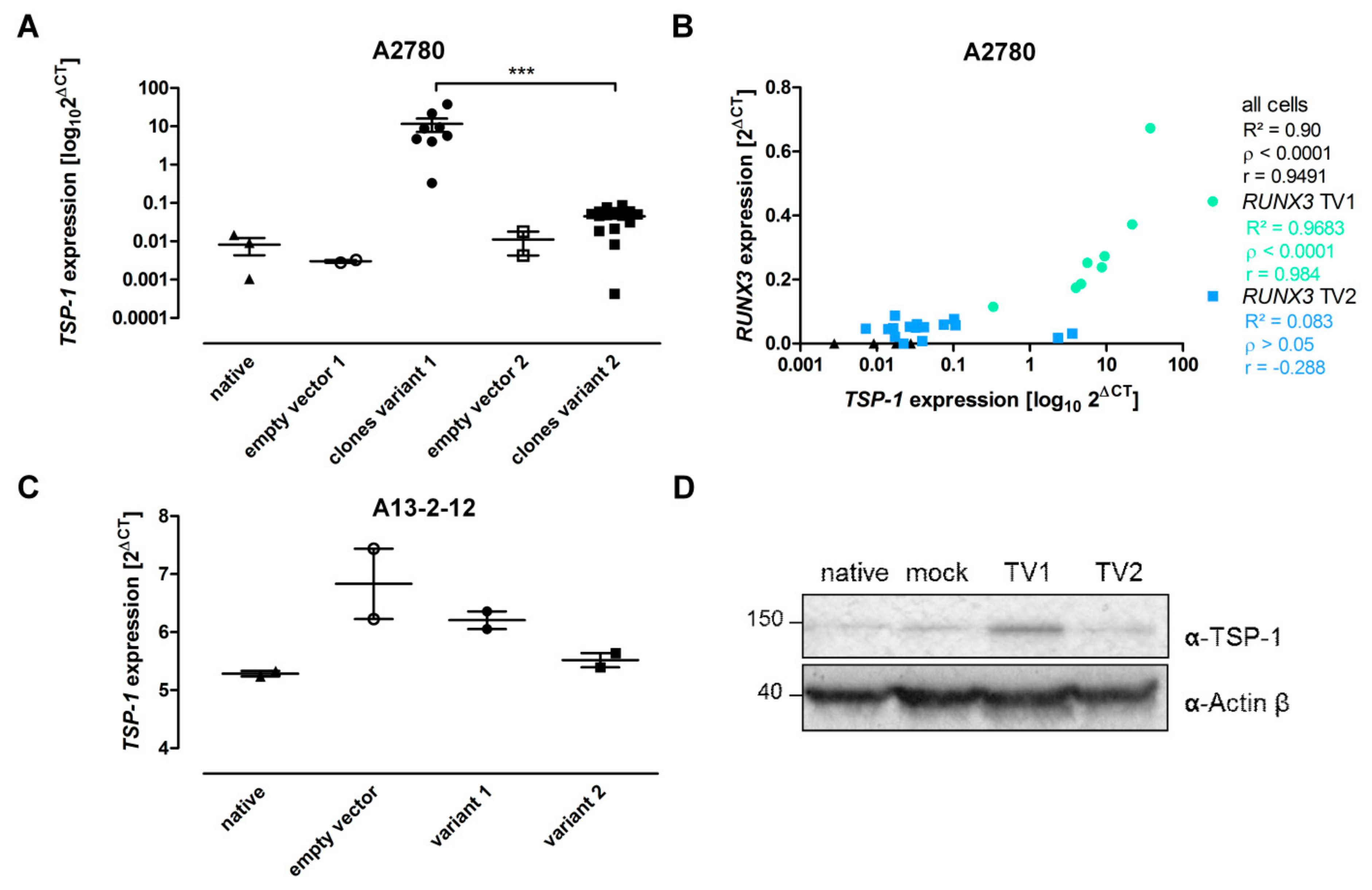 Cancers 13 00476 g005
