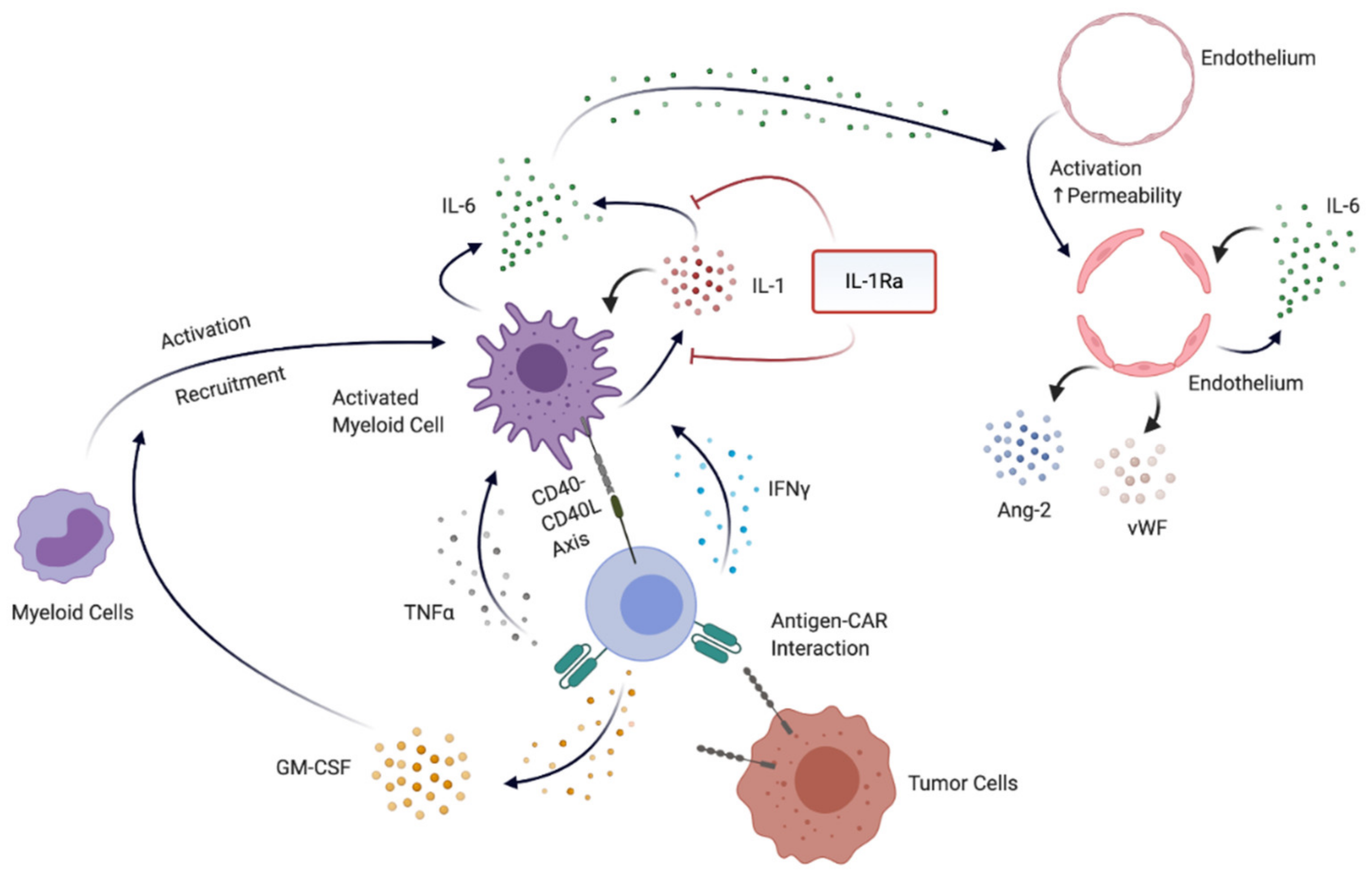 Cancers 13 00477 g003