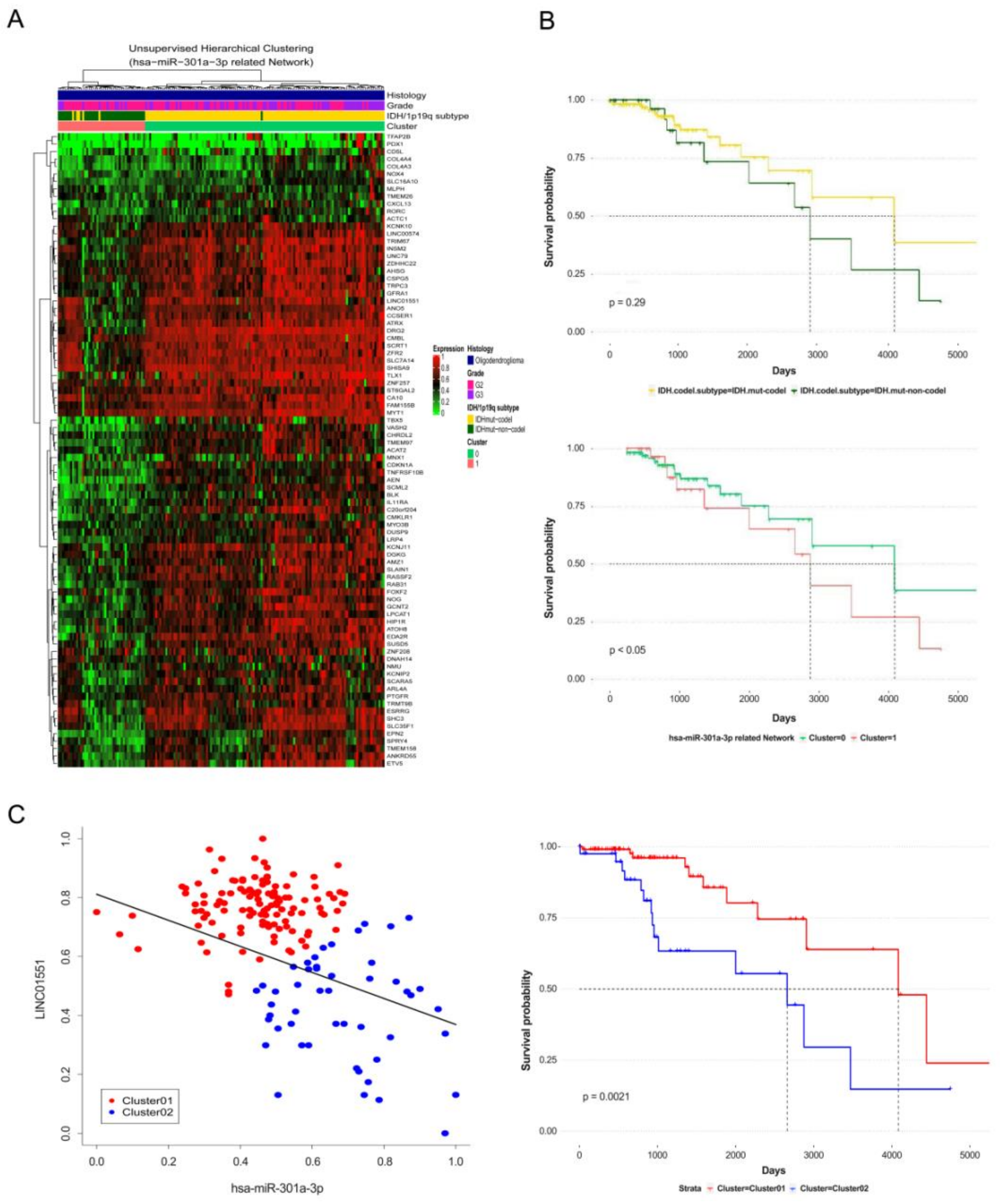 Cancers 13 00478 i003