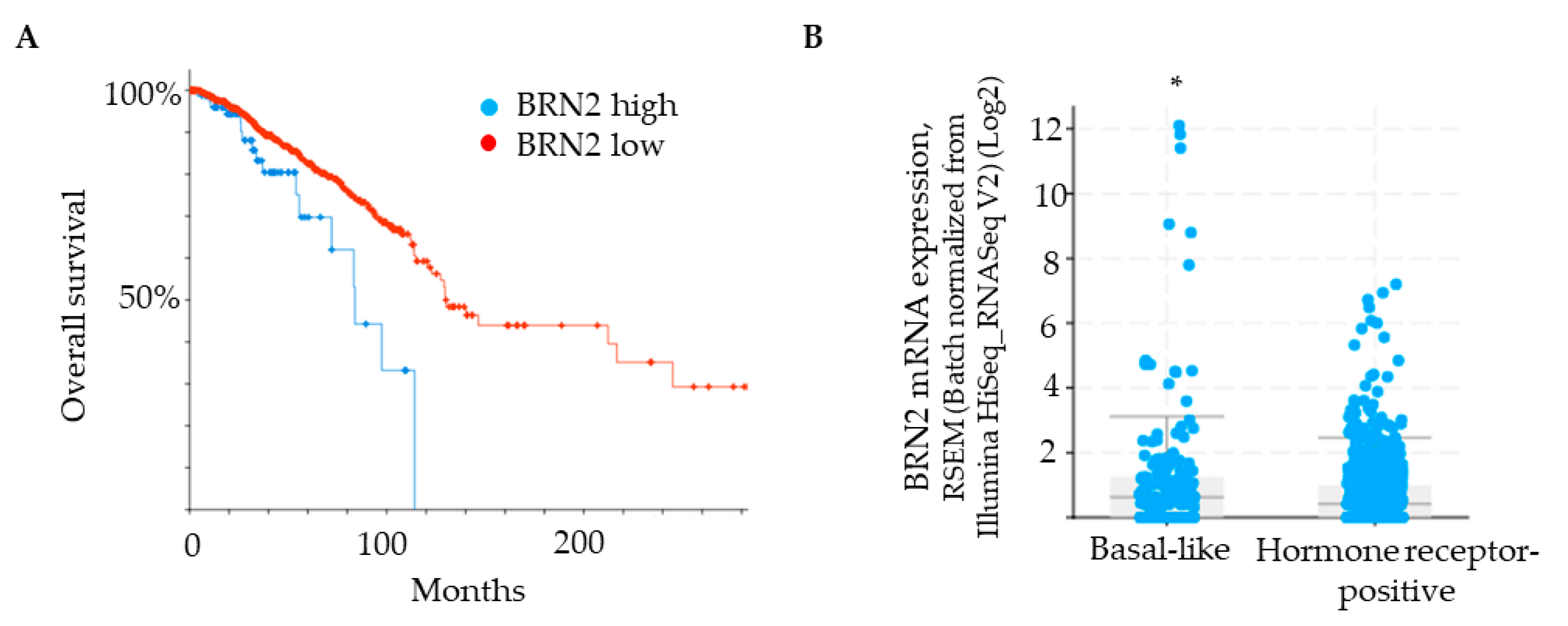 Cancers 13 00480 g004