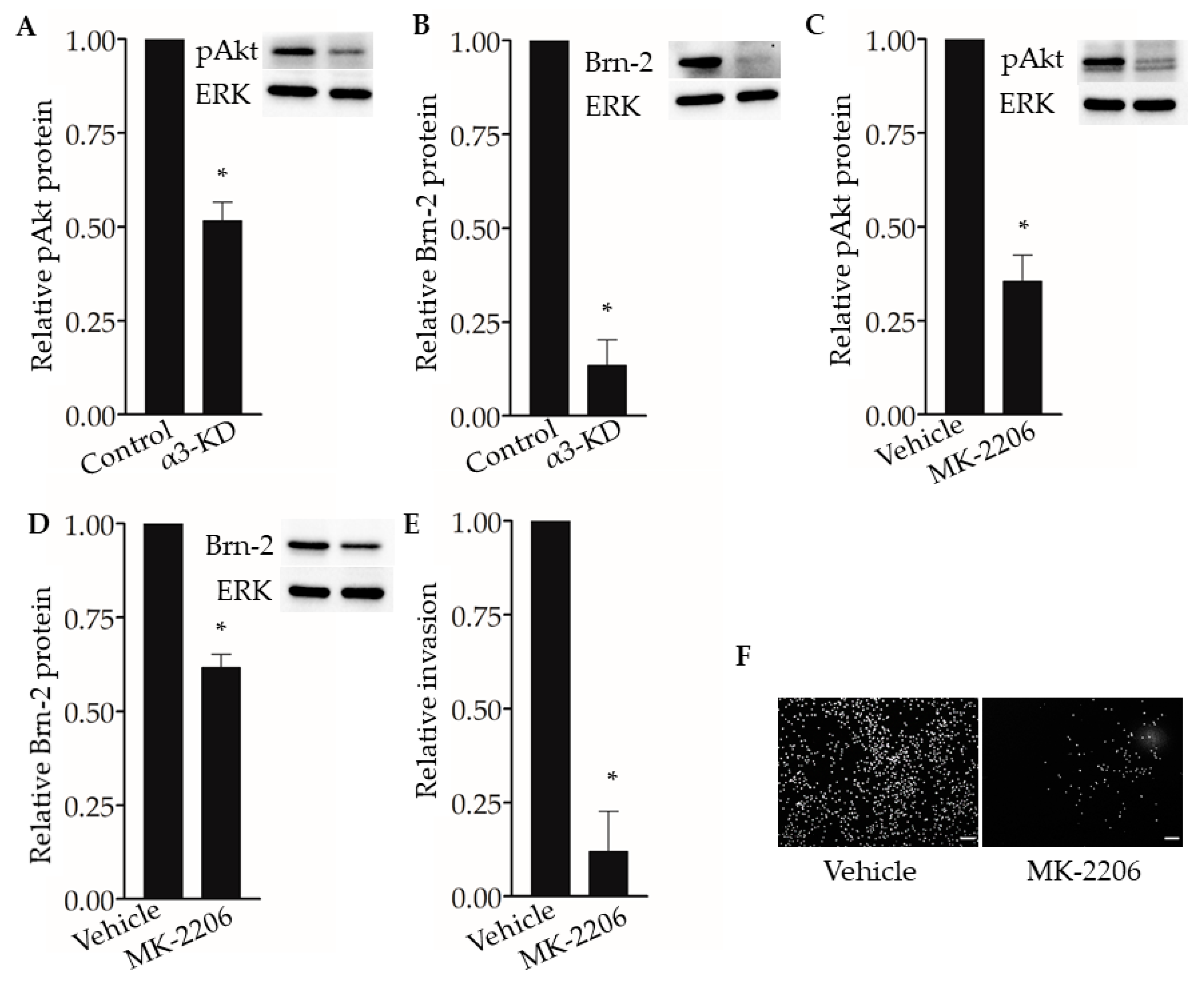Cancers 13 00480 g008