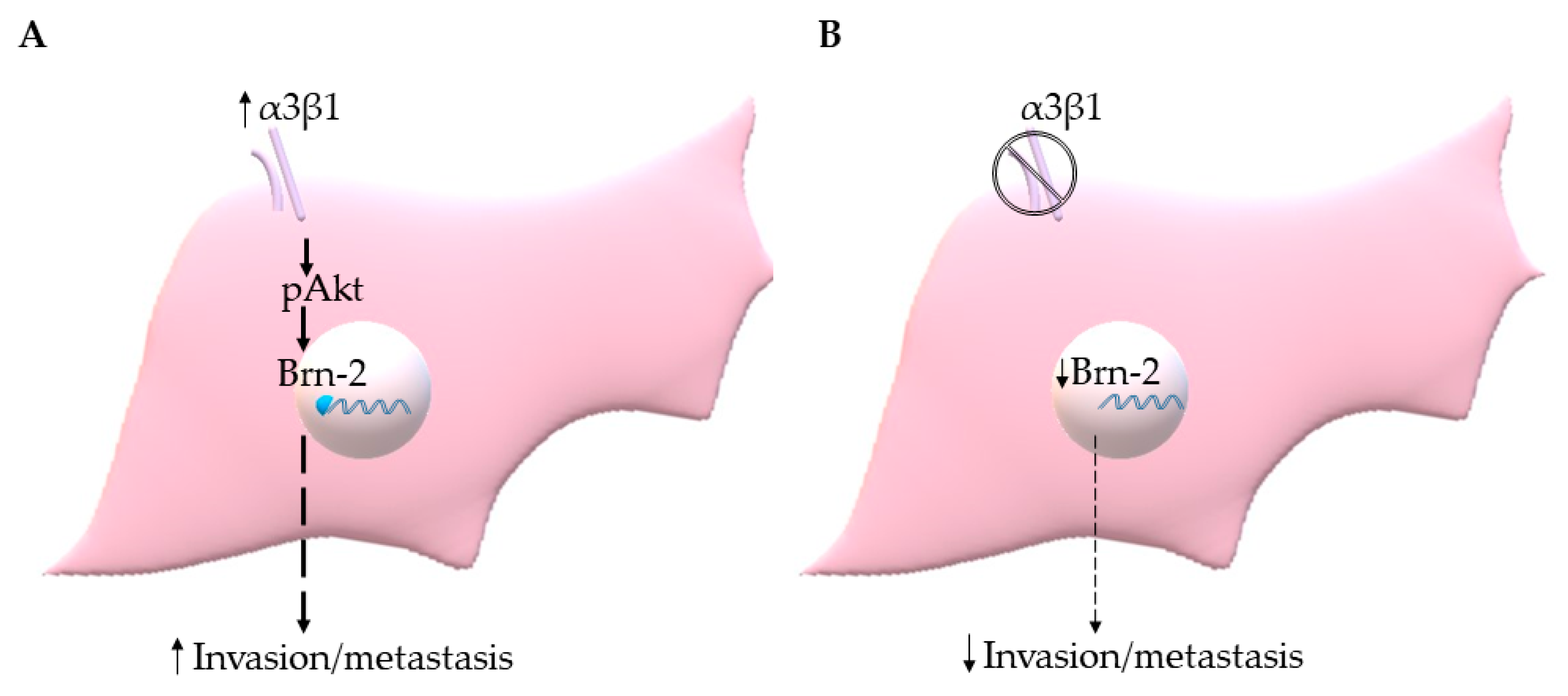 Cancers 13 00480 g009