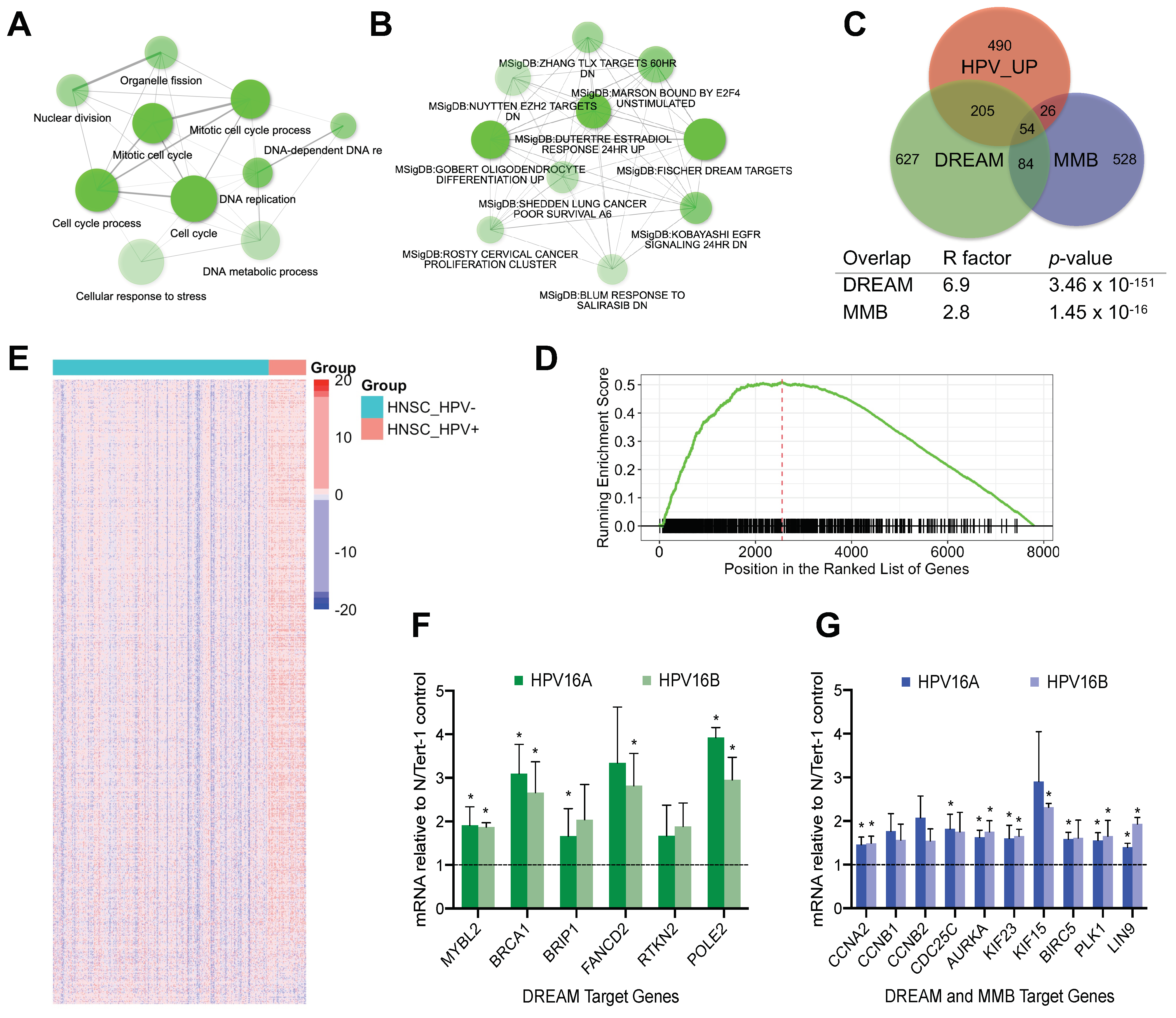 Cancers 13 00489 g001