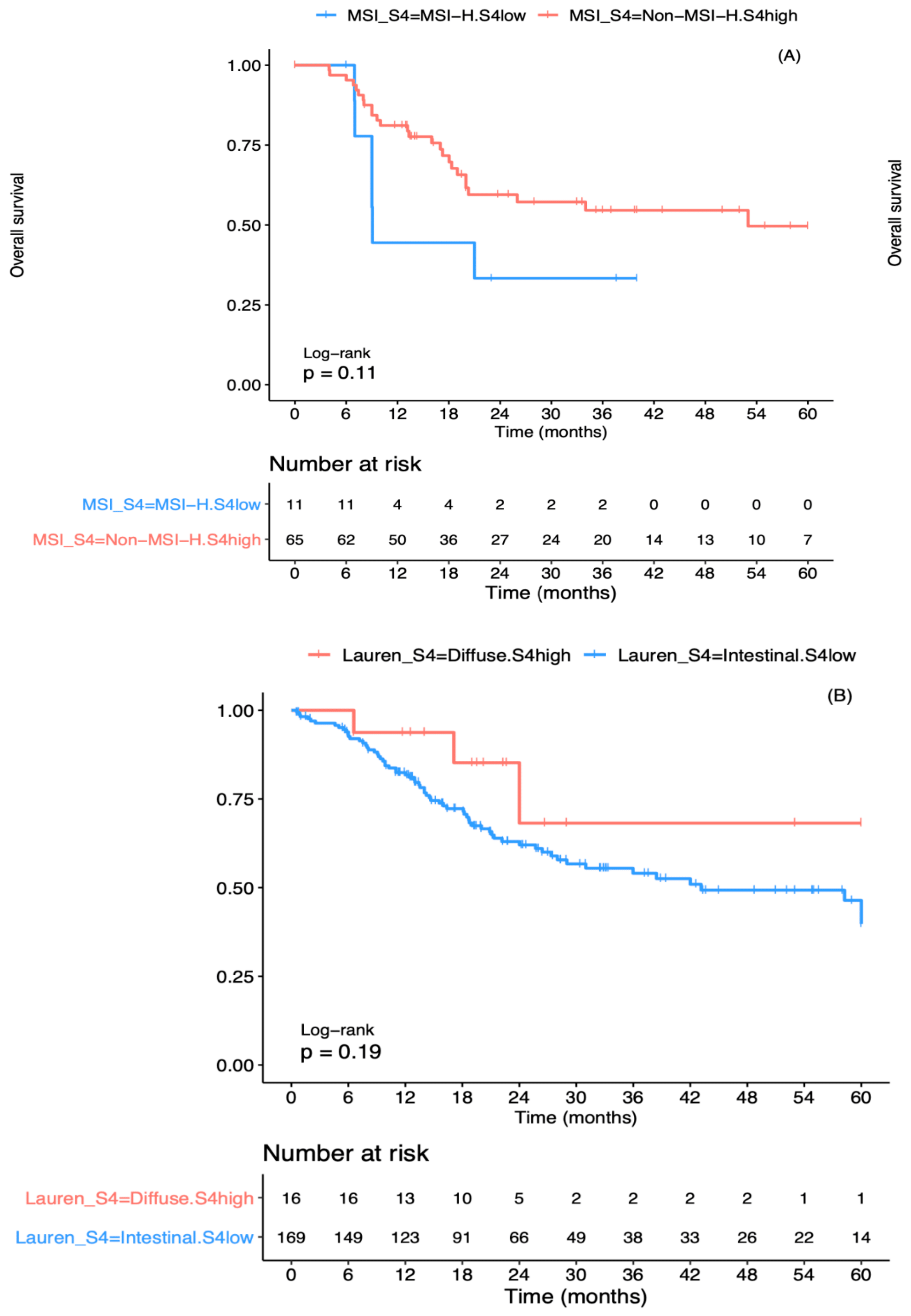 Cancers 13 00490 g003 Cancers 13 00490 g003