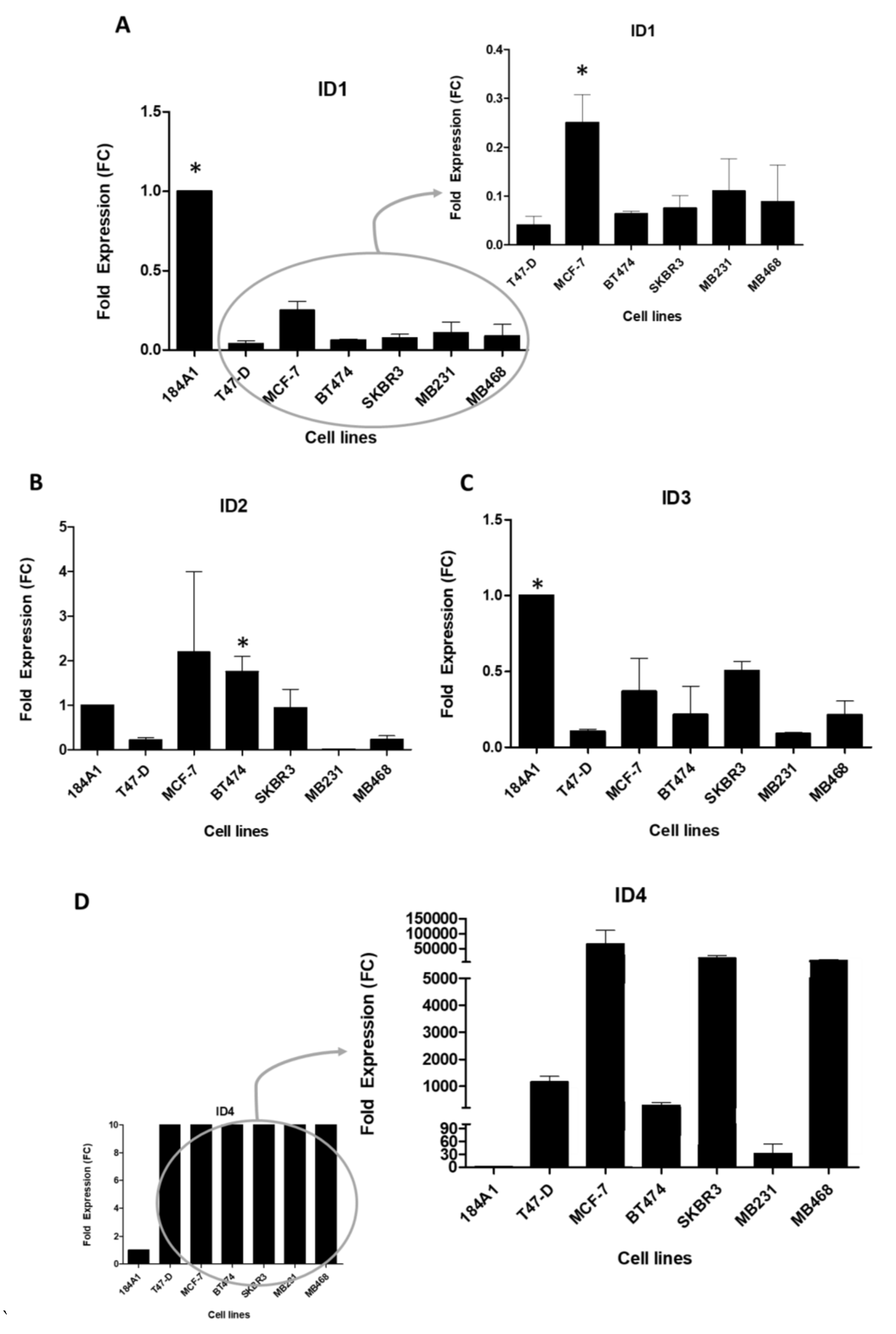 Cancers 13 00492 g001