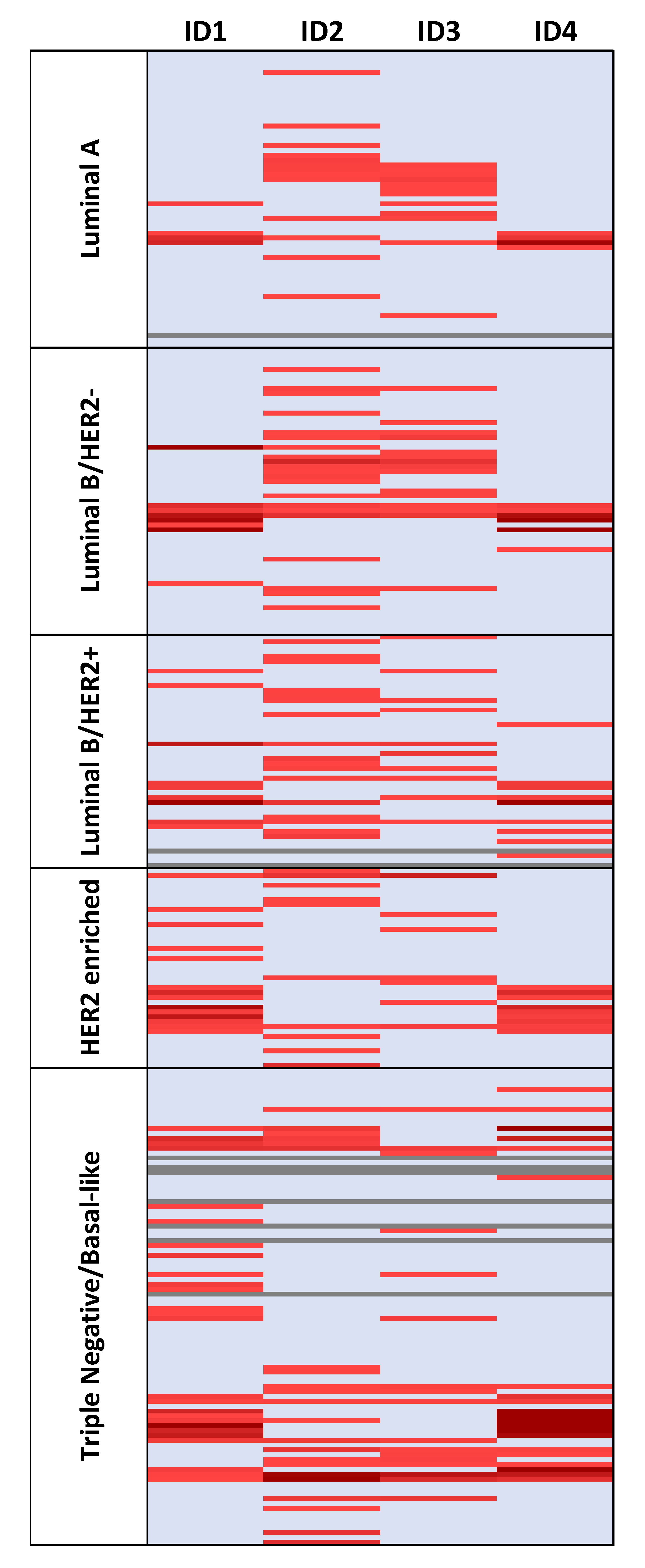 Cancers 13 00492 g002