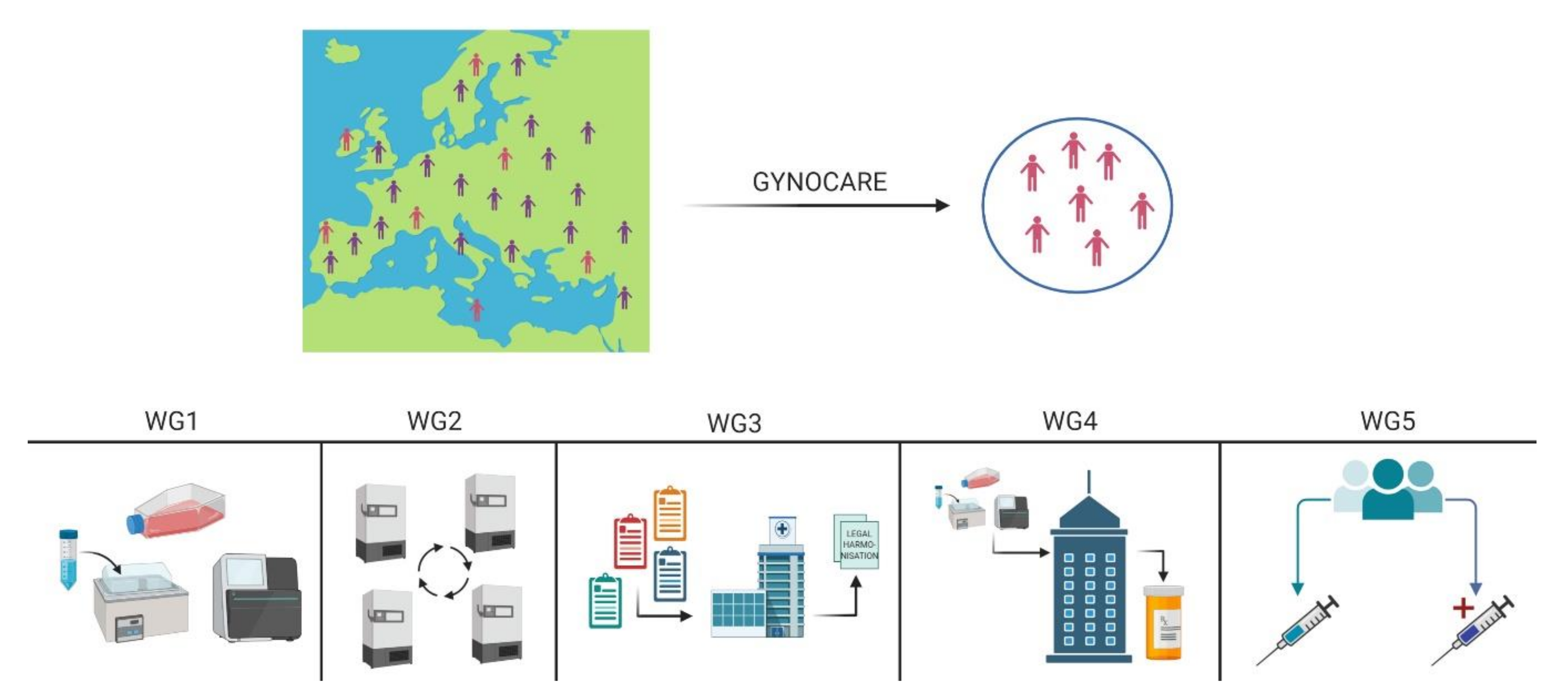 Cancers 13 00493 g001