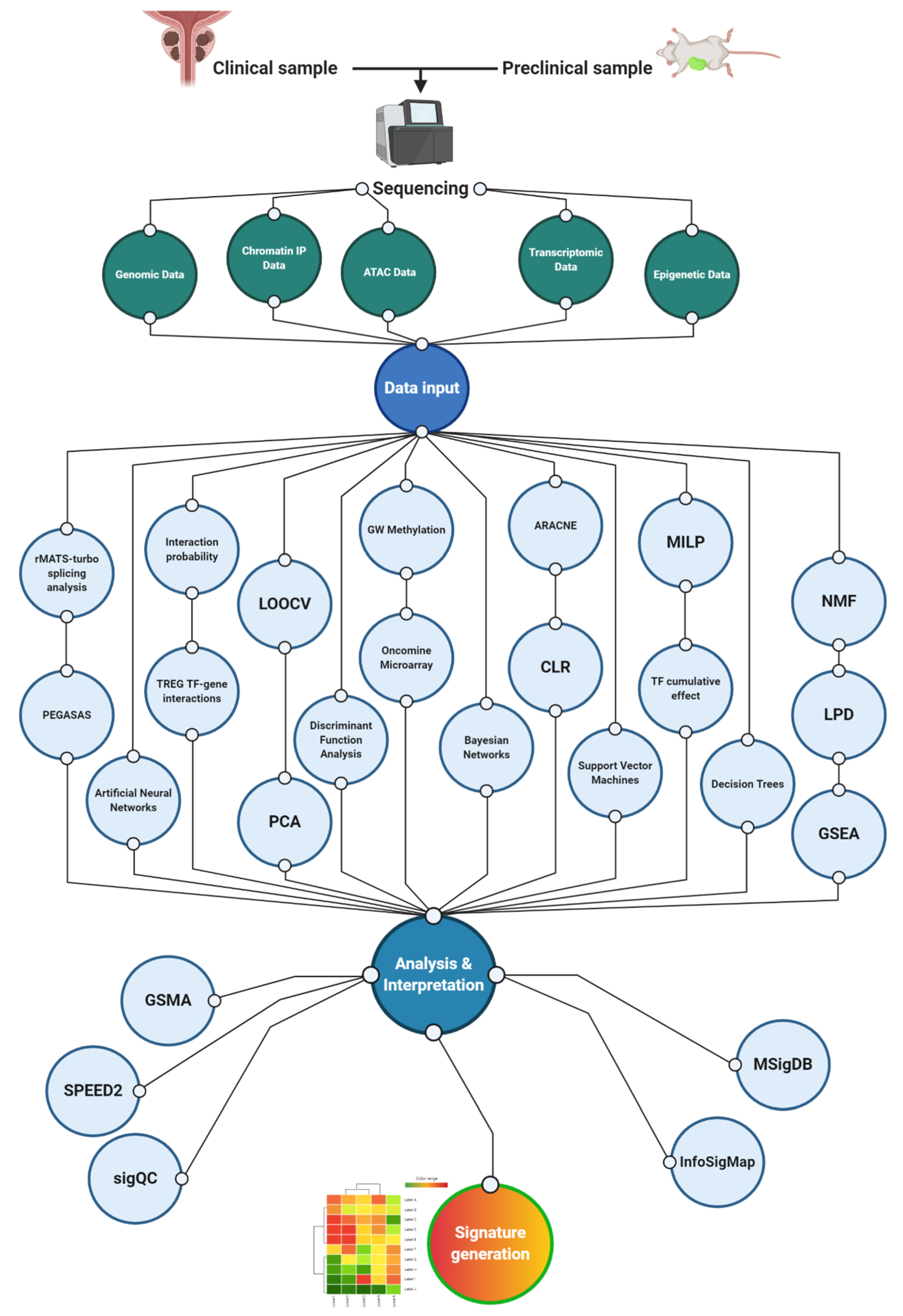 Cancers 13 00495 g002