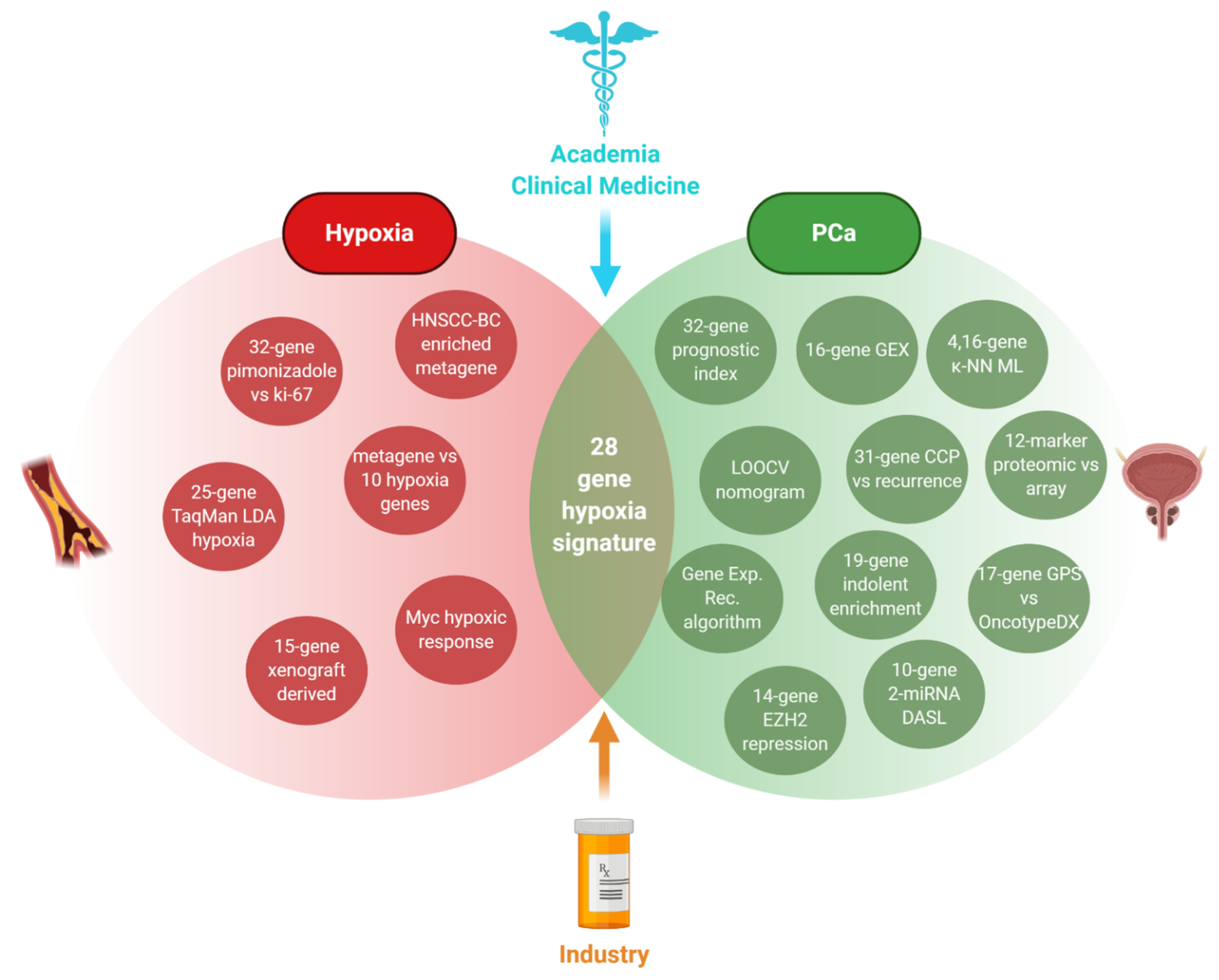 Cancers 13 00495 g003