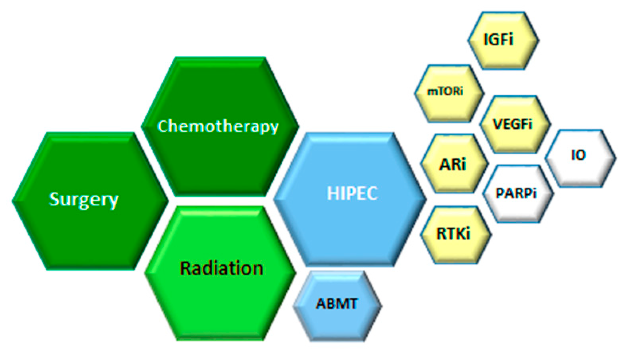 Cancers 13 00498 g001