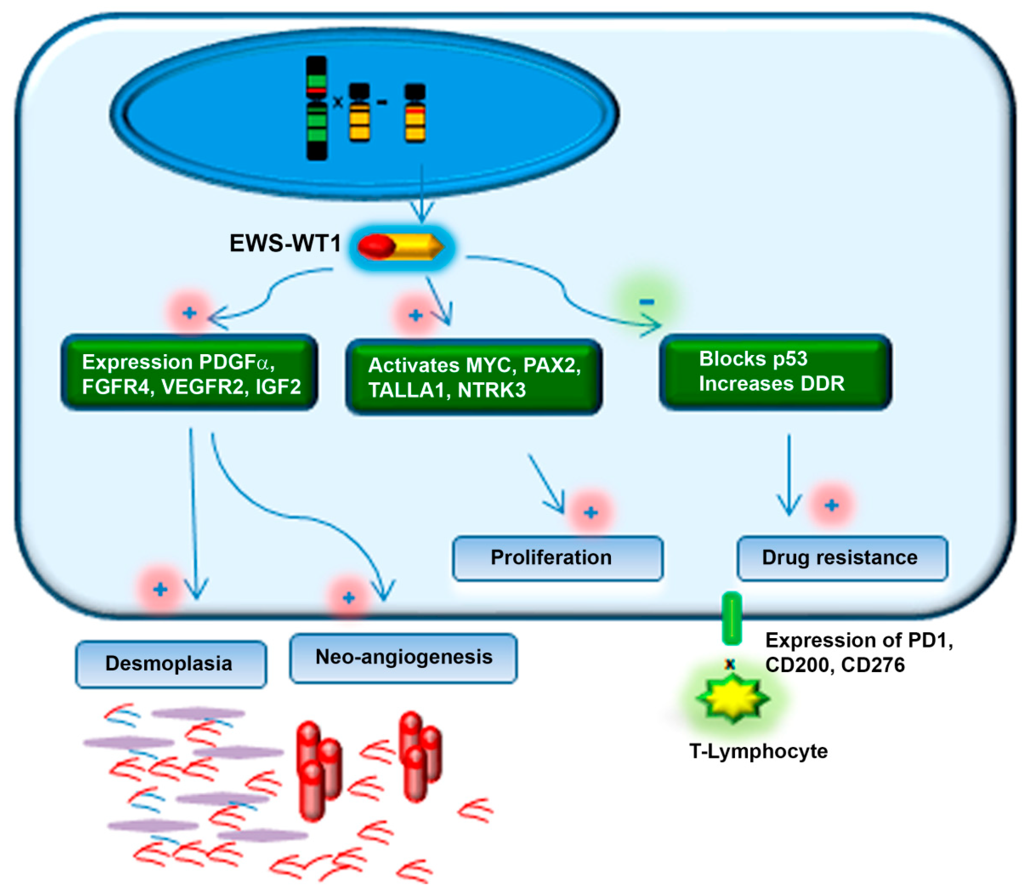 Cancers 13 00498 g002