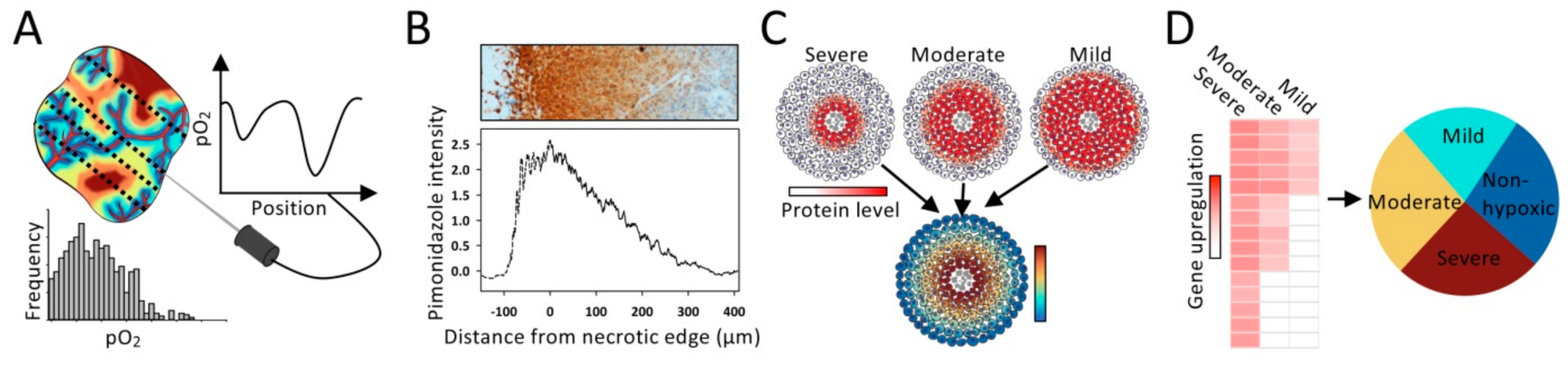 Cancers 13 00499 g003