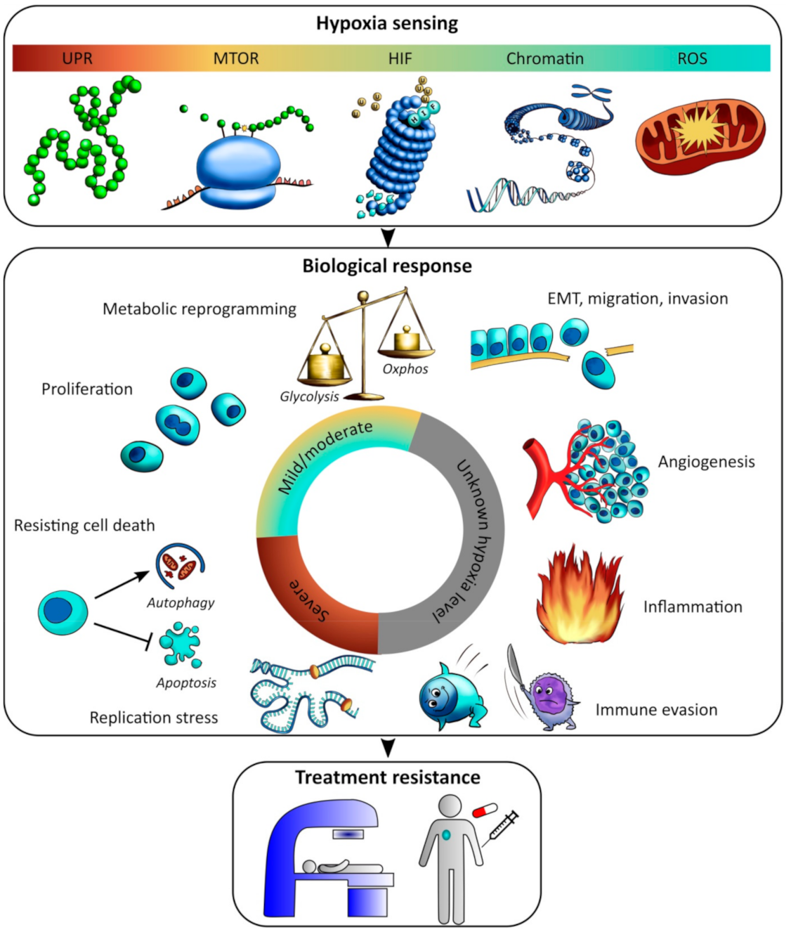 Cancers 13 00499 g005