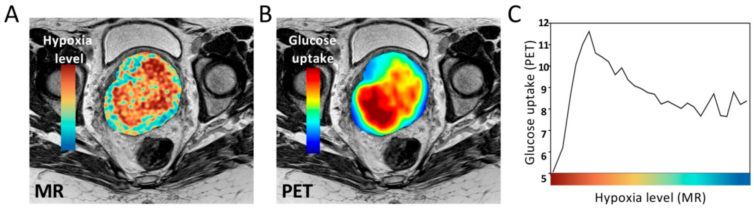 Cancers 13 00499 g006