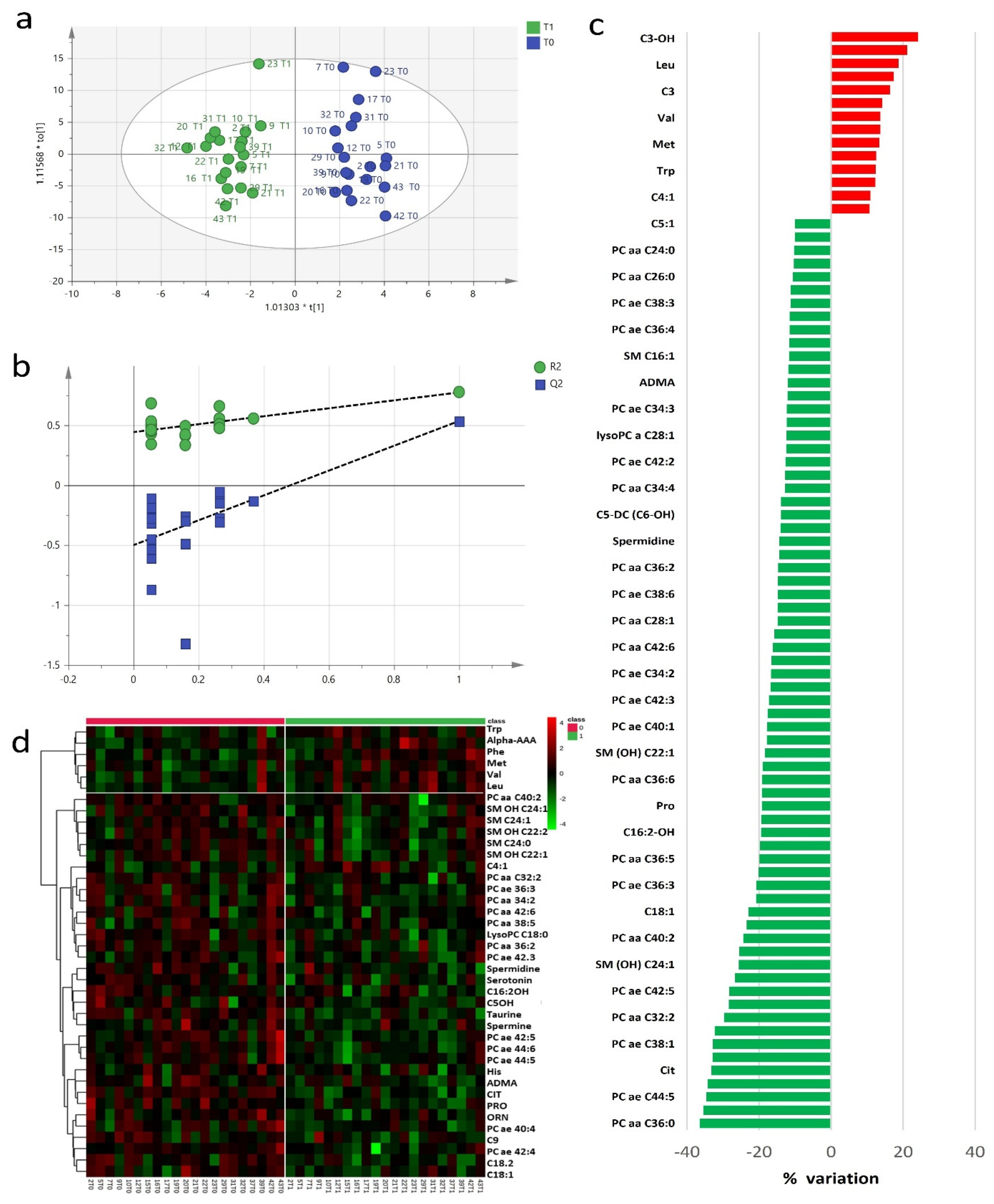 Cancers 13 00508 g001
