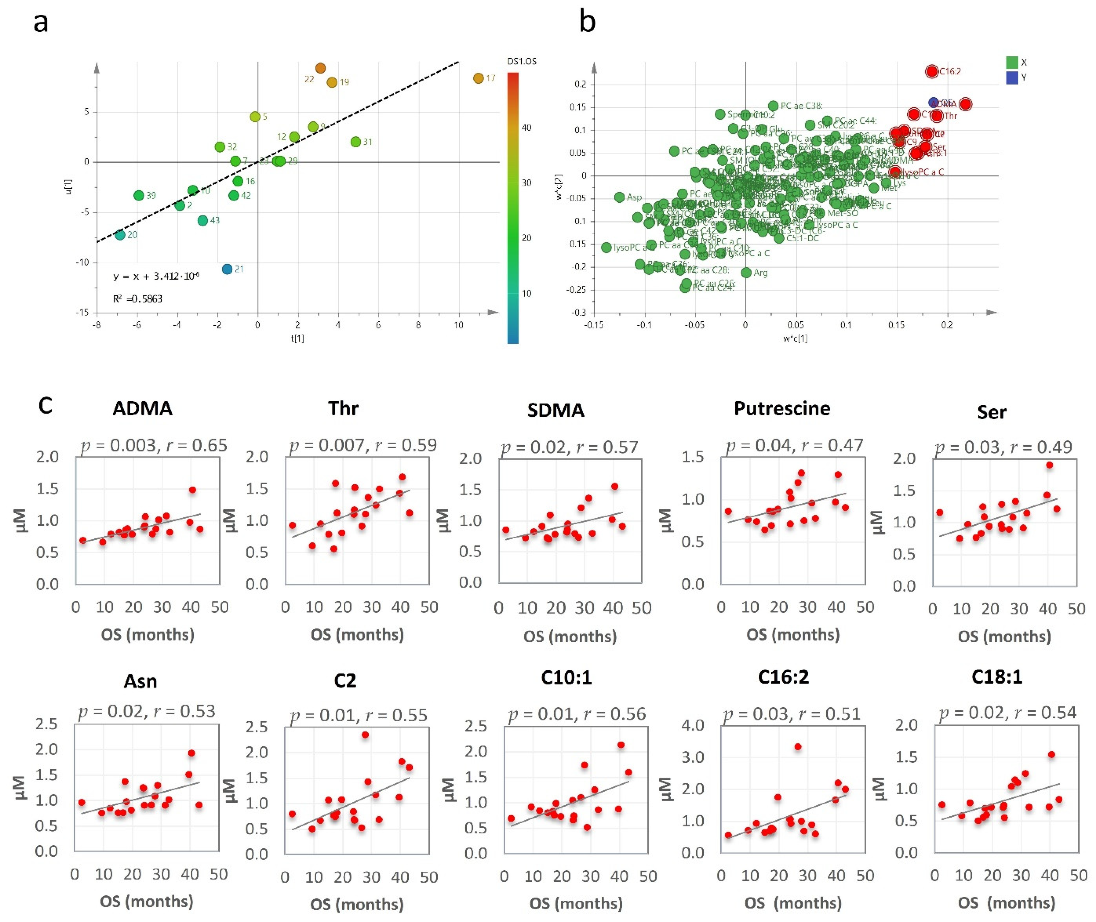 Cancers 13 00508 g003