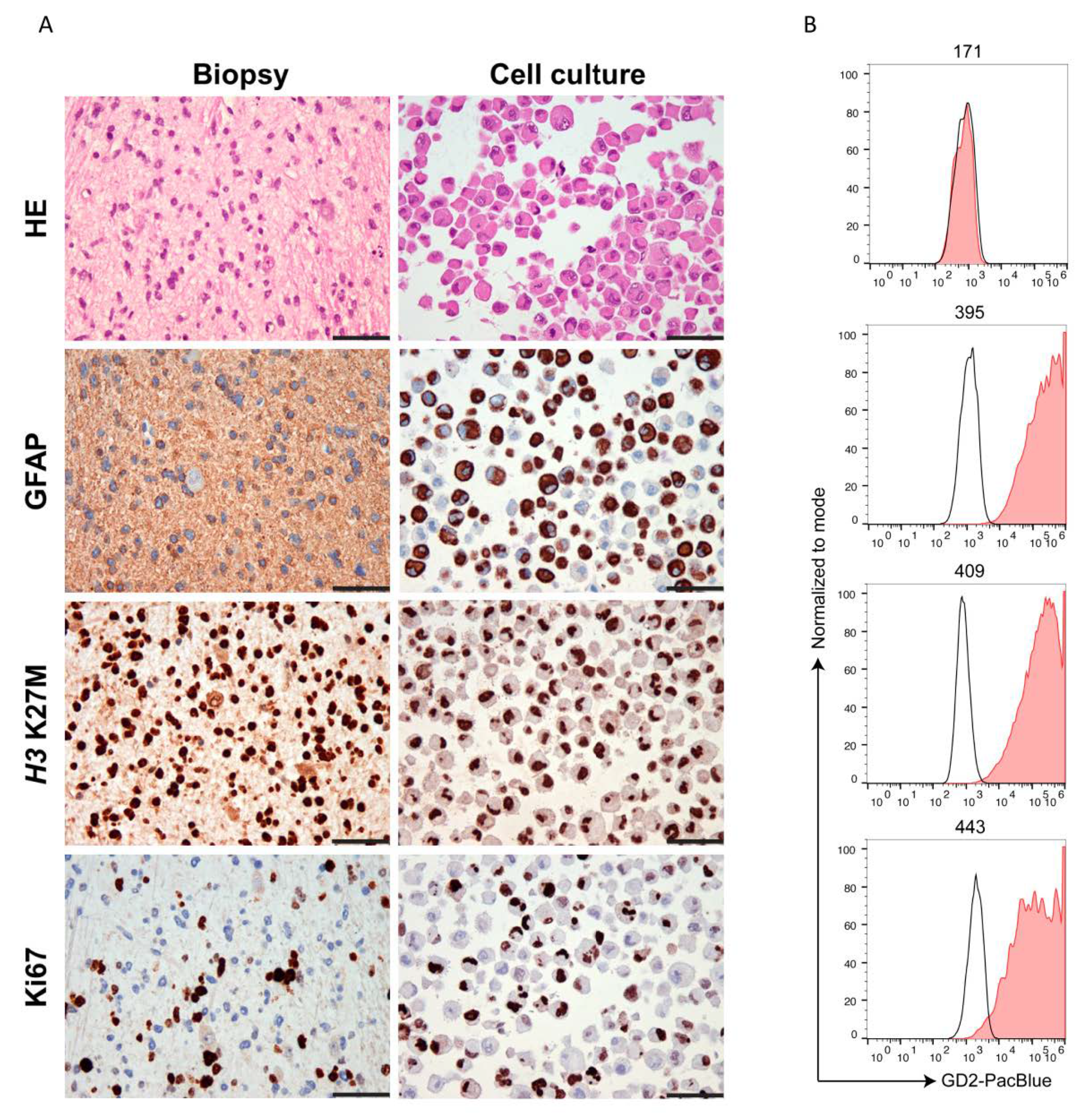 Cancers 13 00520 g003 Cancers 13 00520 g003